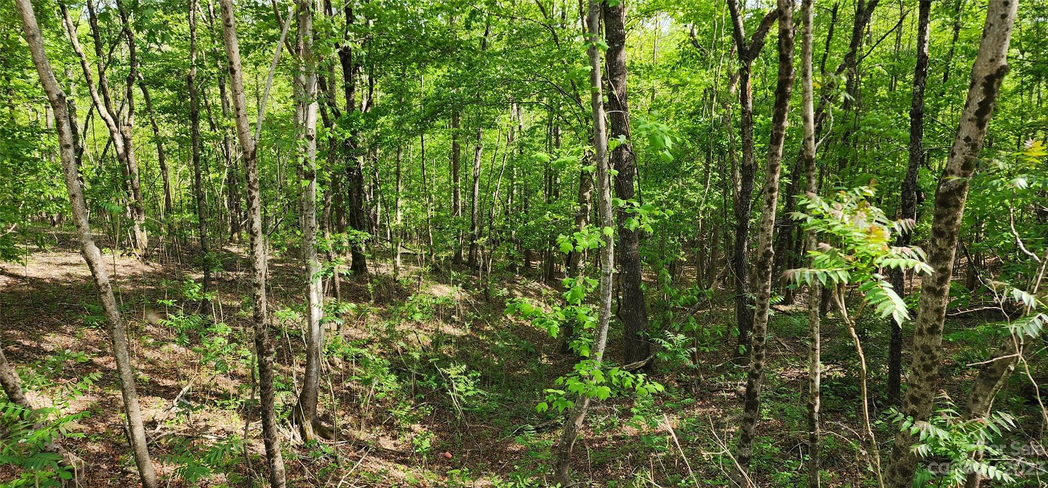 Mountain Laurel Estates - Land