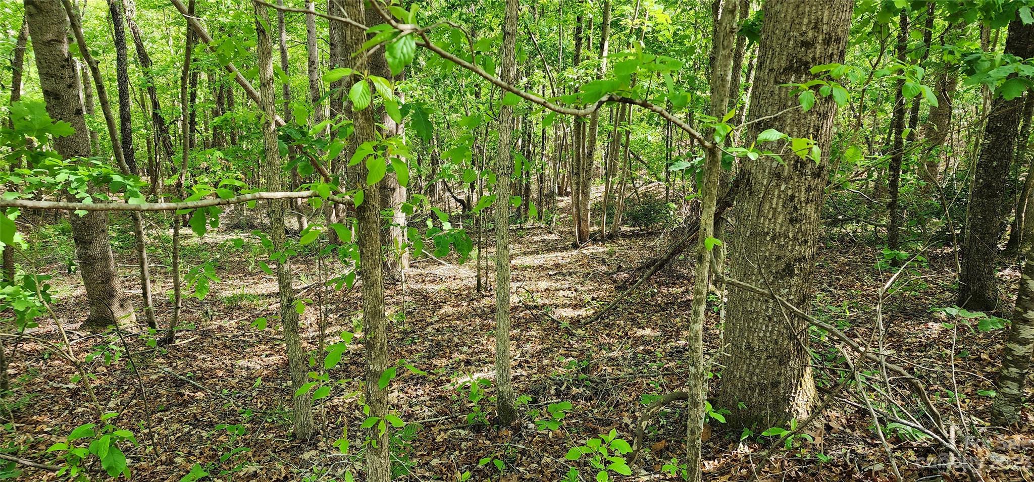 Mountain Laurel Estates - Land