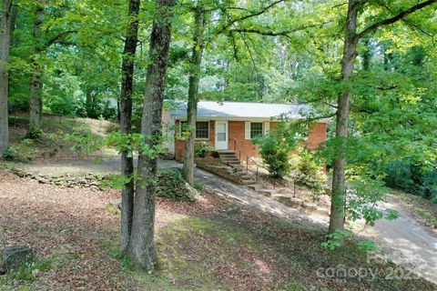 25 Evelake Drive Asheville NC 28806