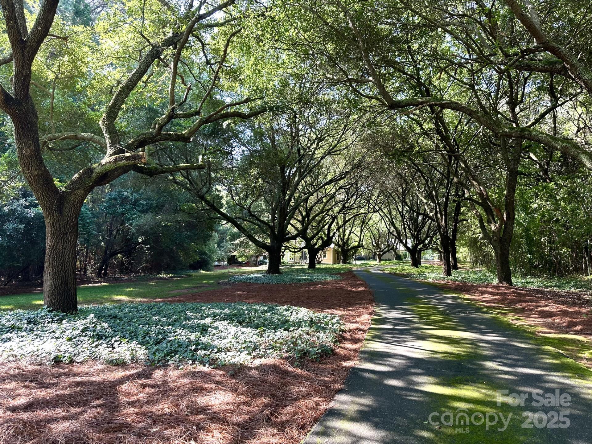 Live Oaks - Residential