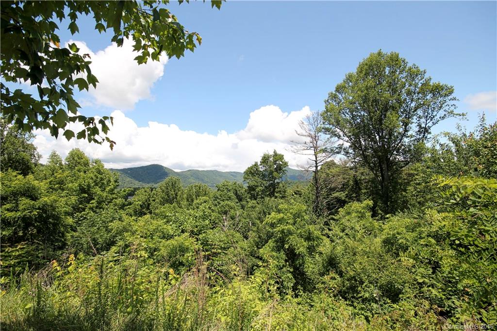 Grove Park Cove - Land