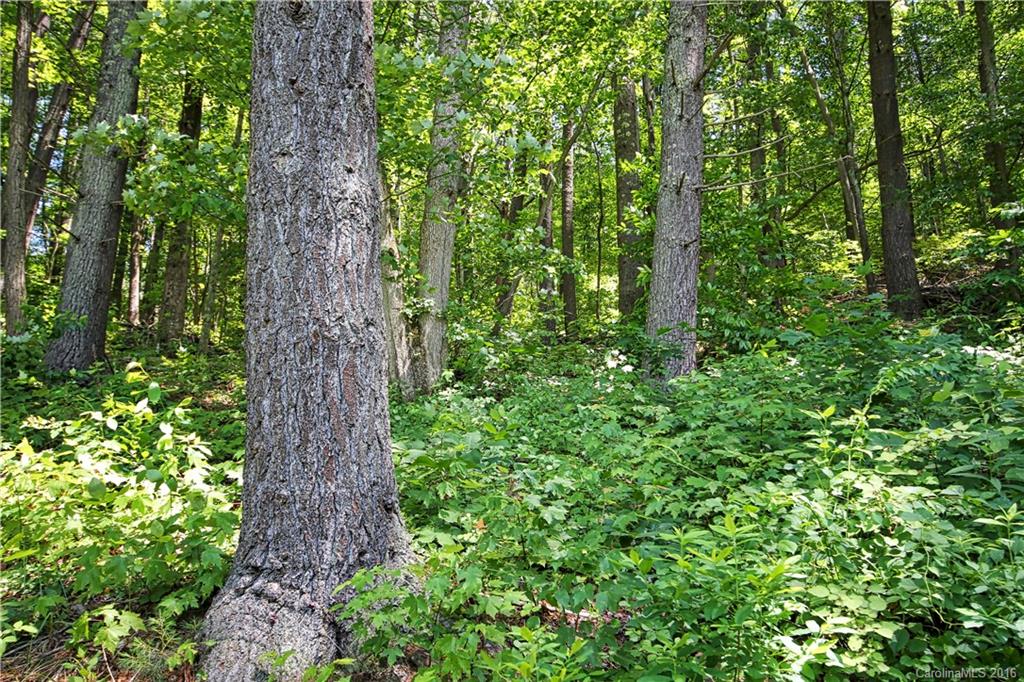 Grove Park Cove - Land