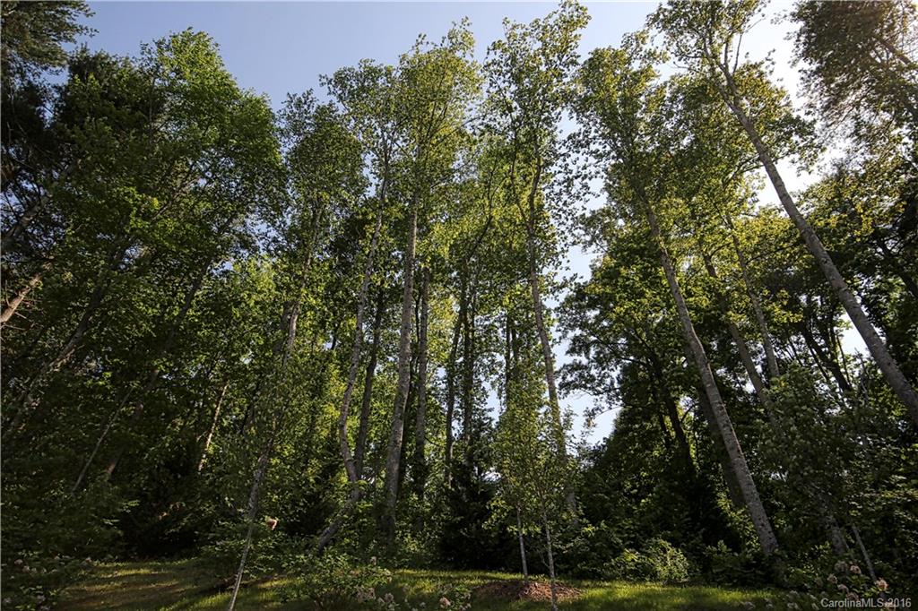 Grove Park Cove - Land