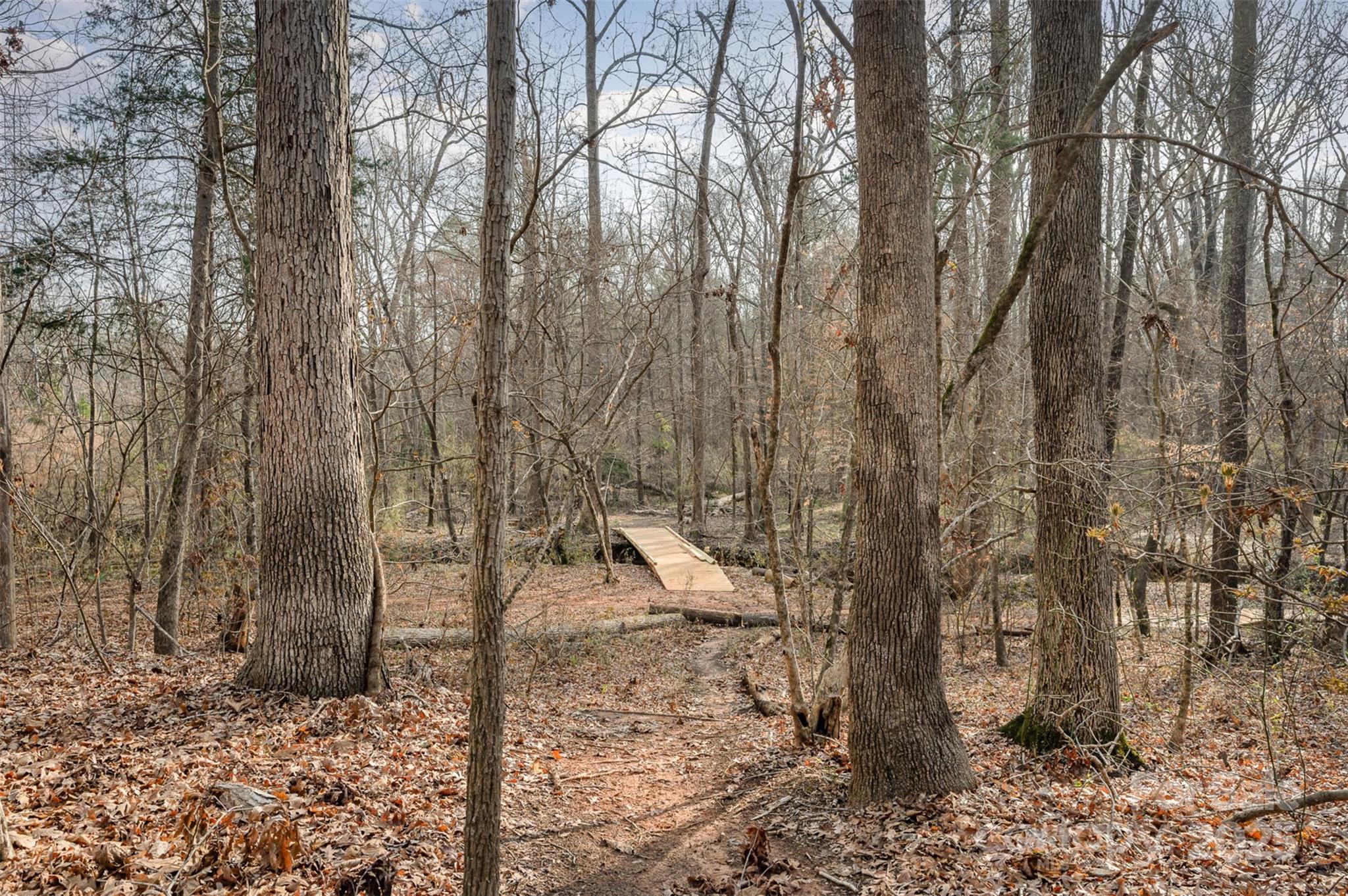 Lake Ridge - Residential