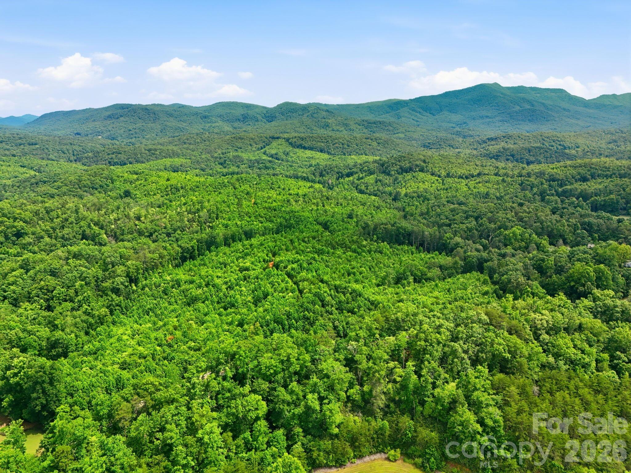 2301 Parker Padgett Road, Old Fort, NC, 28762