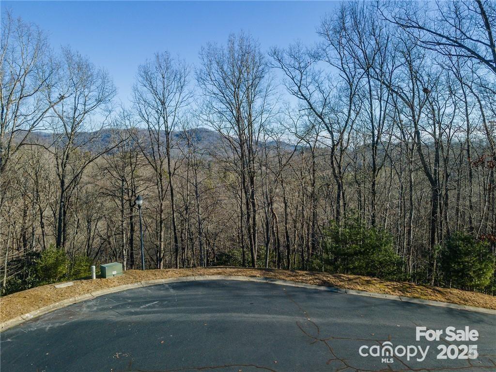 Homestead at Mills River - Residential