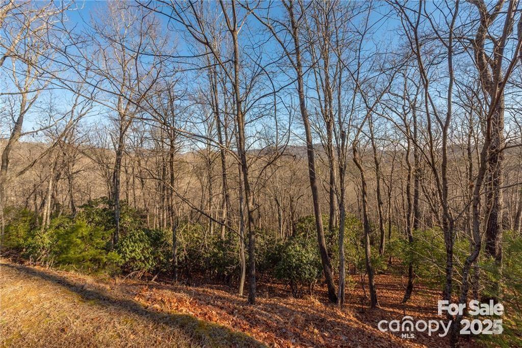 Homestead at Mills River - Residential