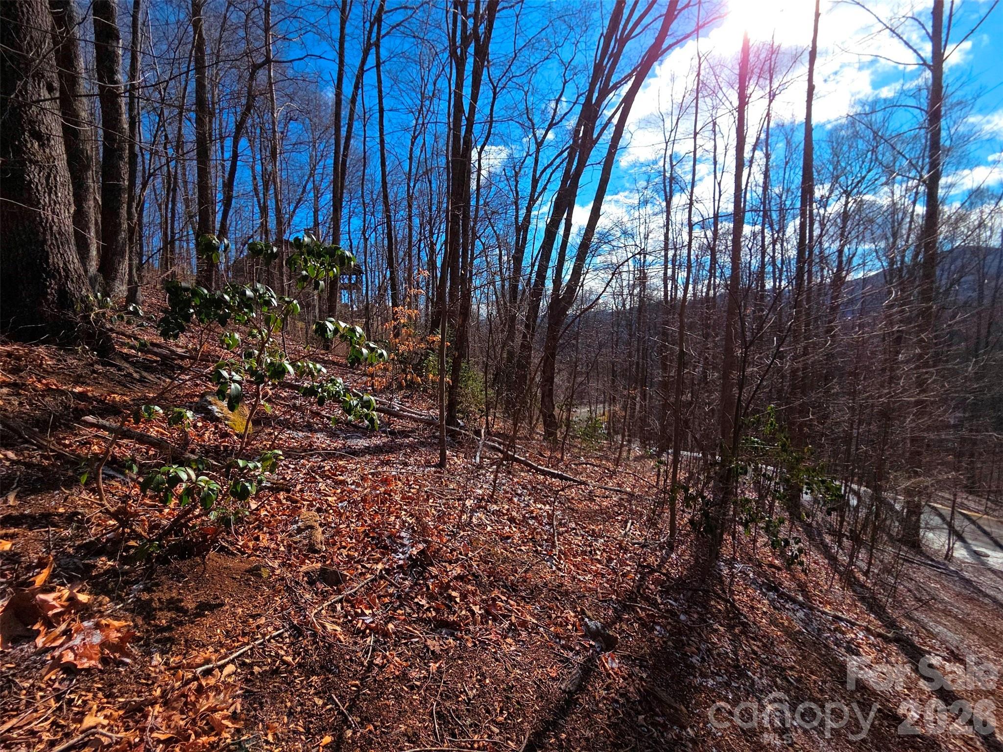 Mountain Watch - Land