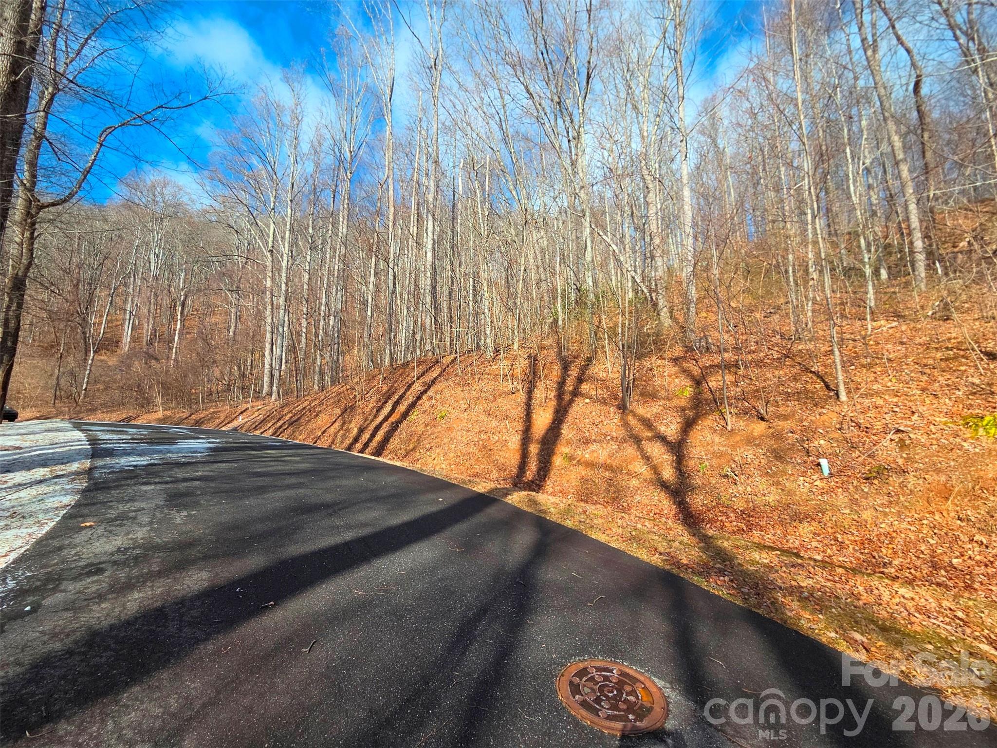 Mountain Watch - Land