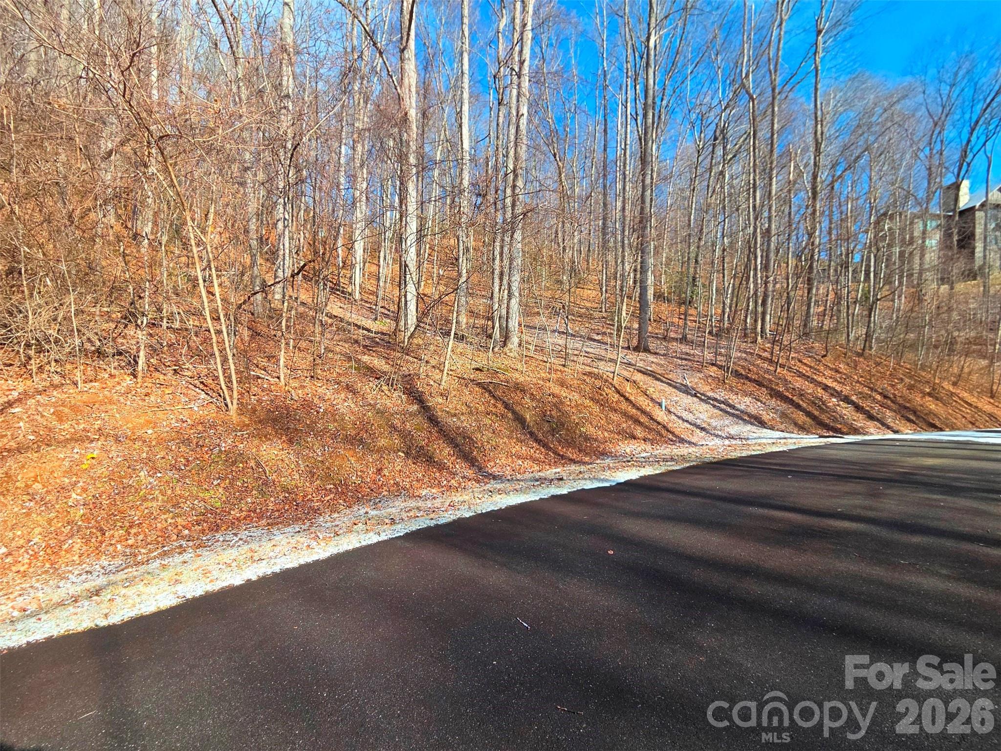 Mountain Watch - Land