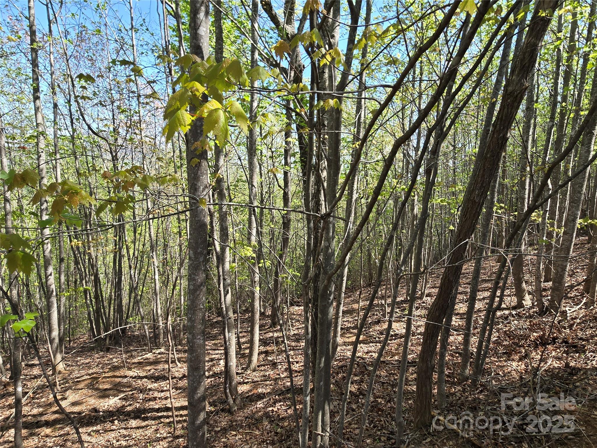 Lot 3 Hibiscus Court