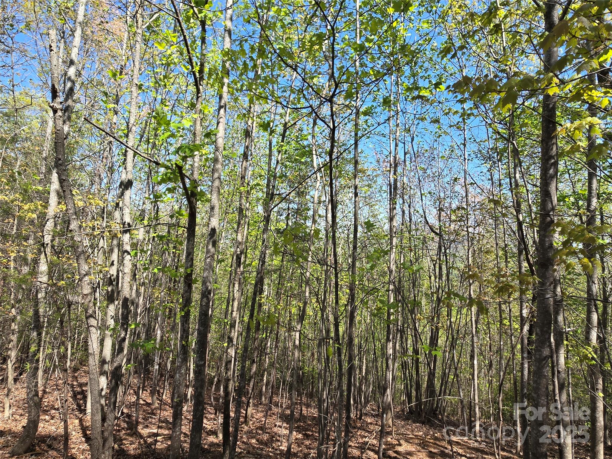 Lot 3 Hibiscus Court
