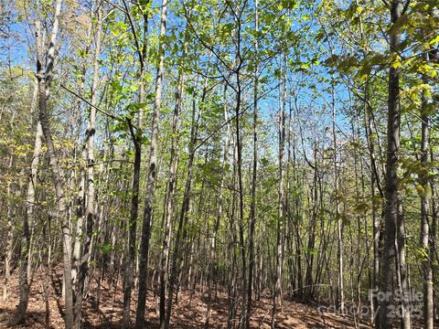 Lot 3 Hibiscus Court Lake Lure NC 28746