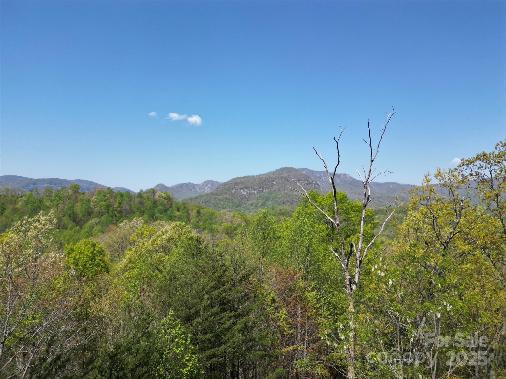 Lot 3 Hibiscus Court