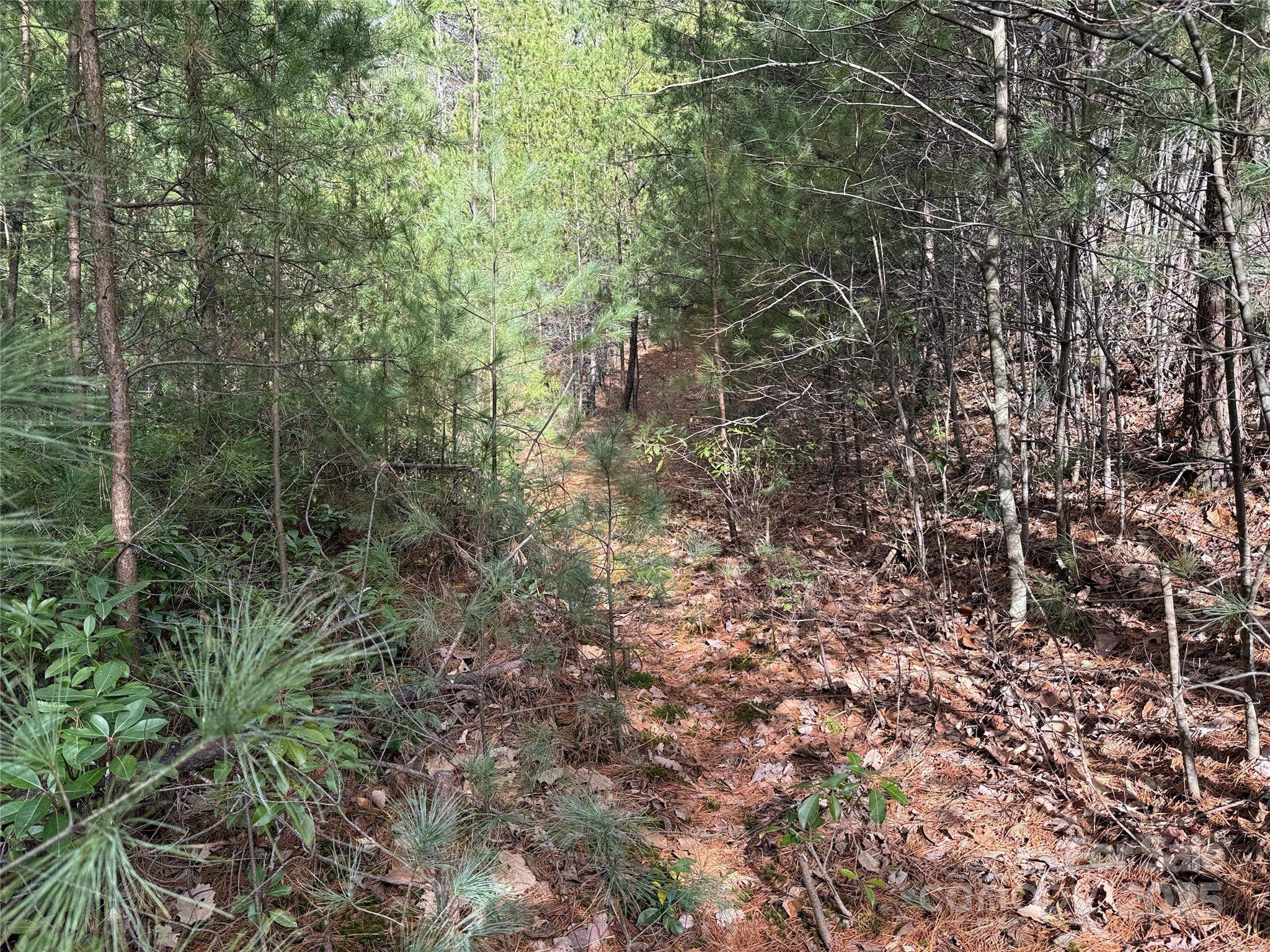 Buck Mountain - Land