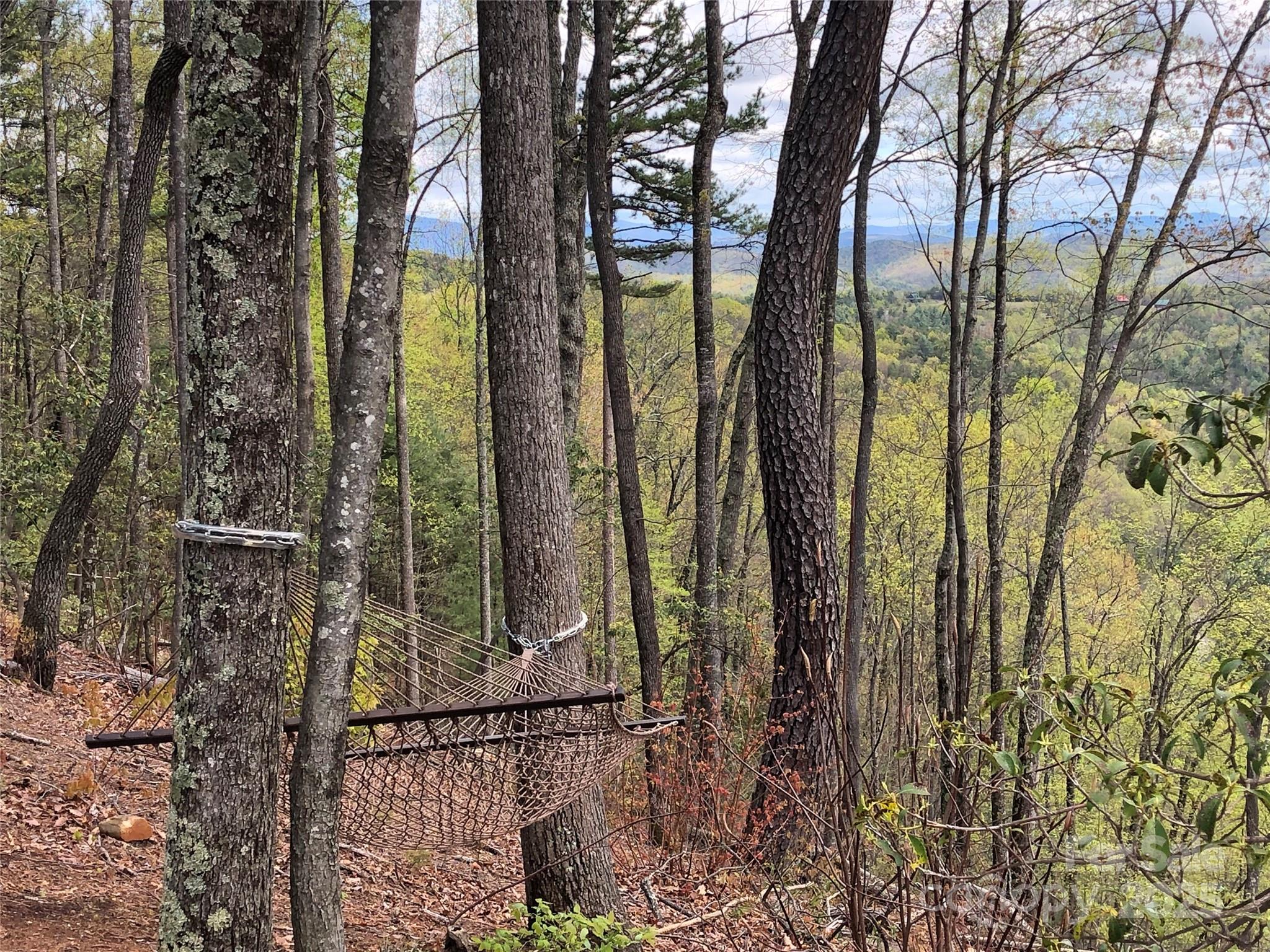 Buck Mountain - Land