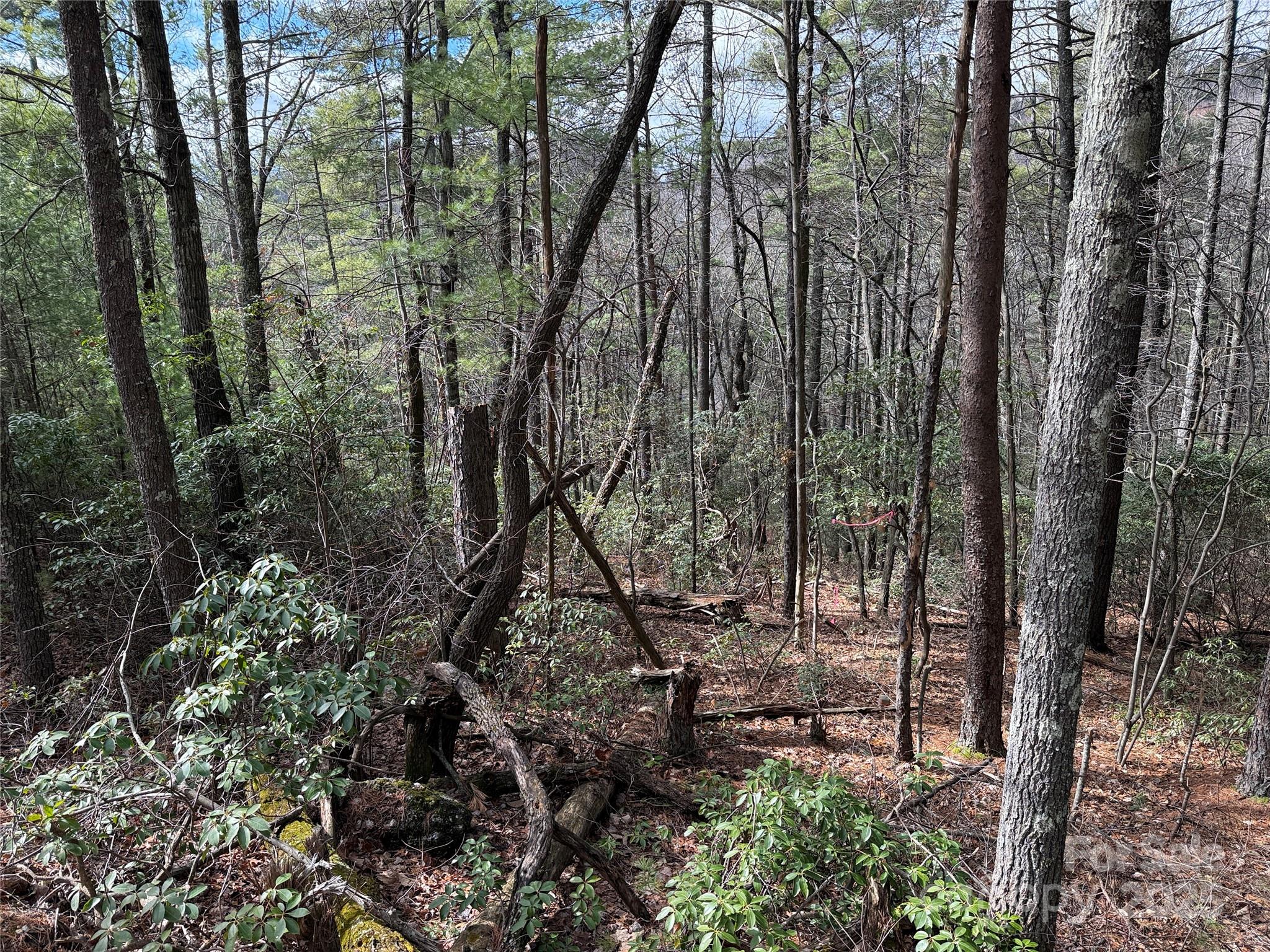 Buck Mountain - Land