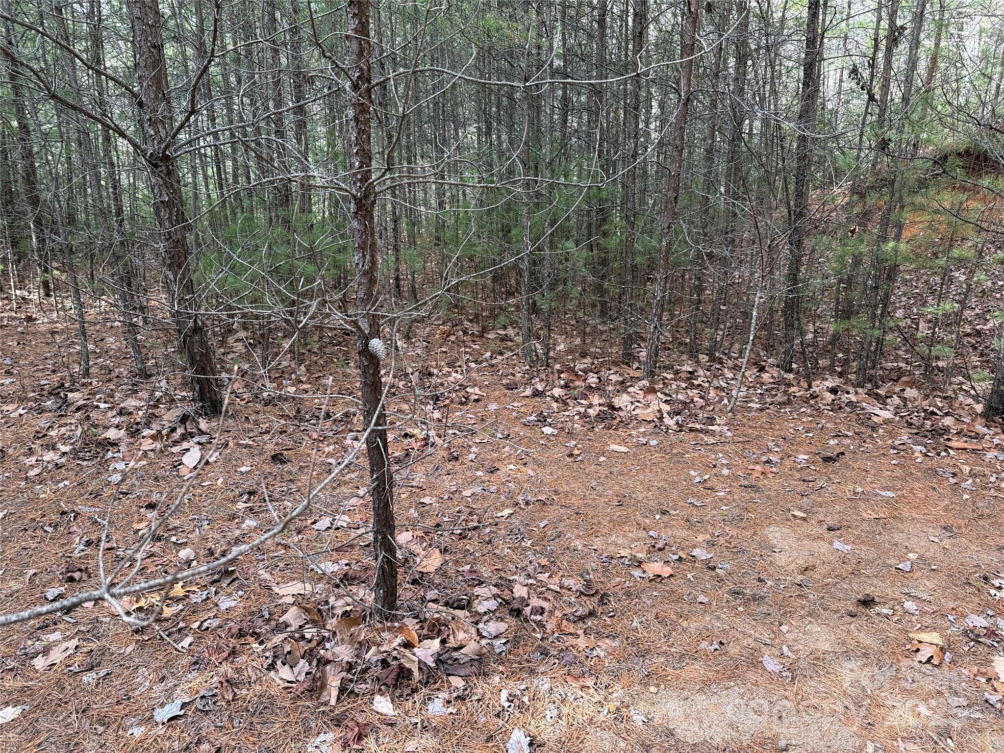 Buck Mountain - Land
