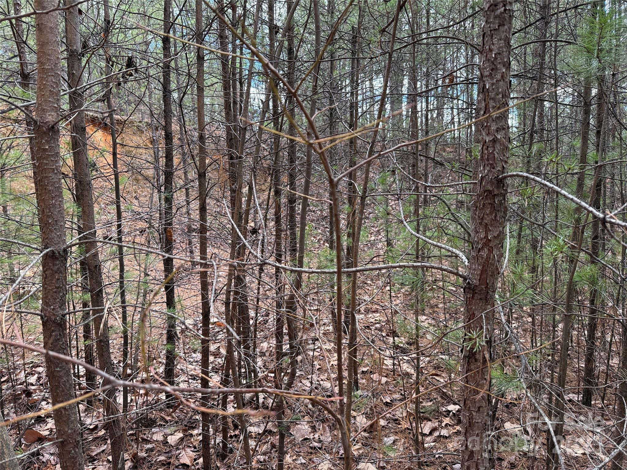 Buck Mountain - Land