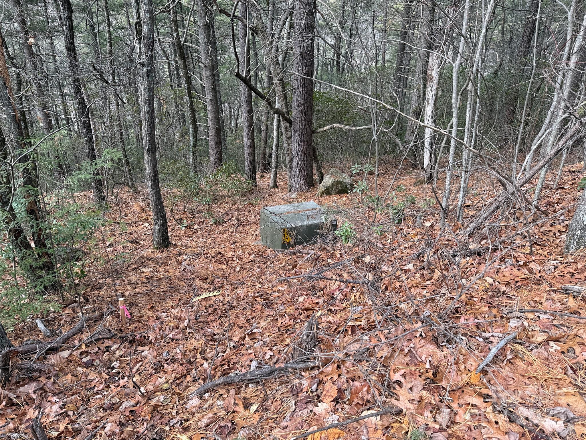 Buck Mountain - Land