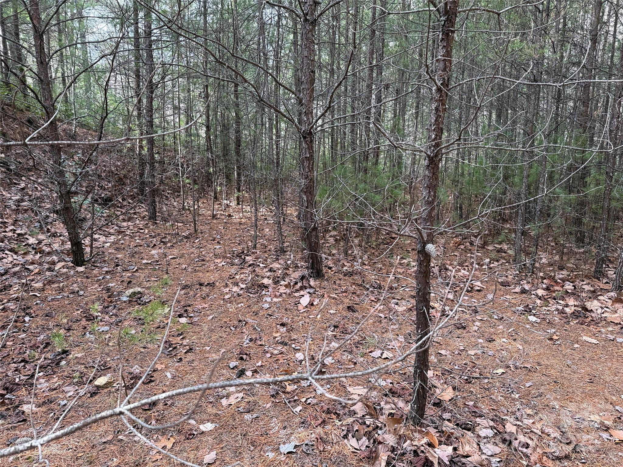 Buck Mountain - Land