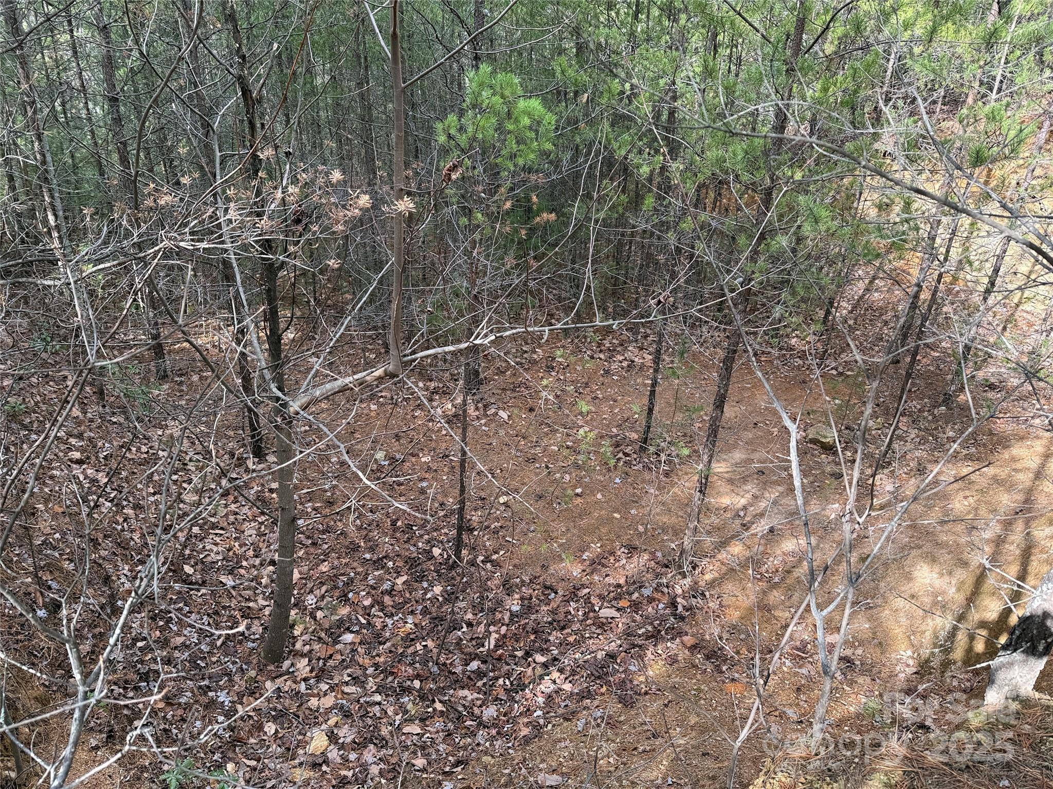 Buck Mountain - Land