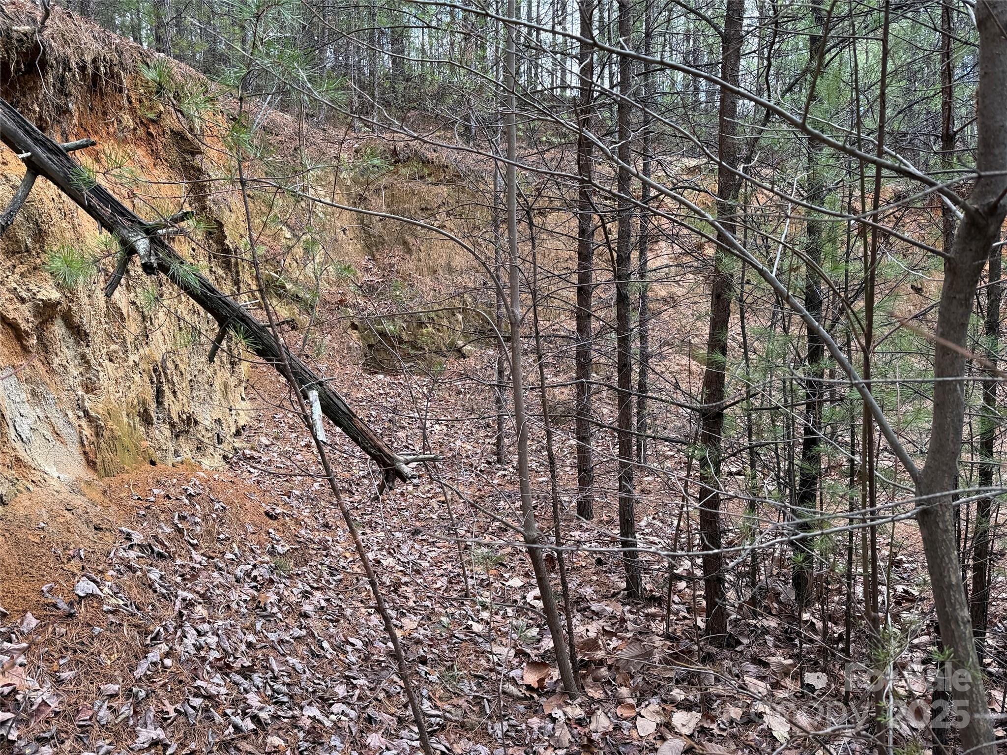 Buck Mountain - Land