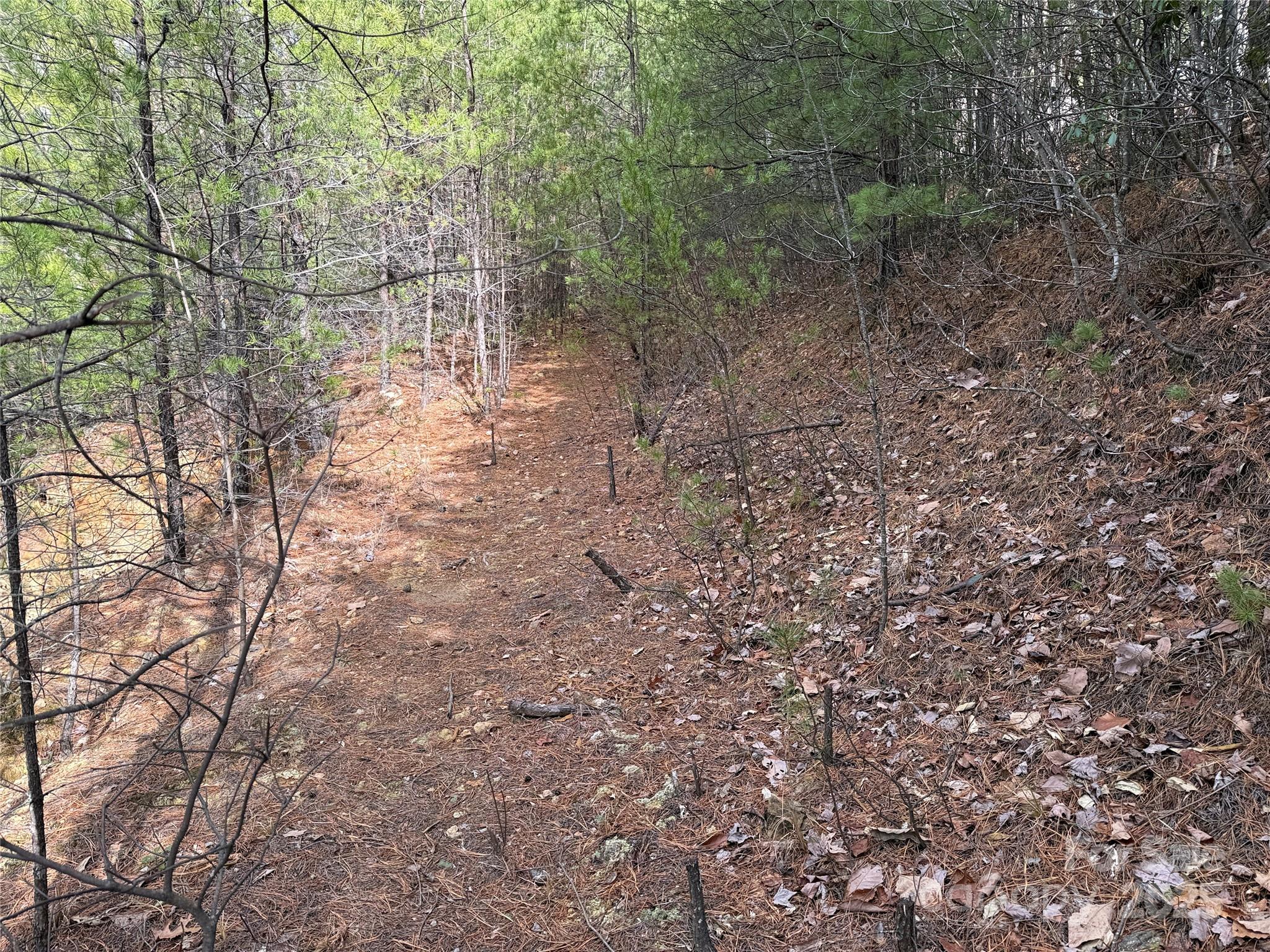 Buck Mountain - Land