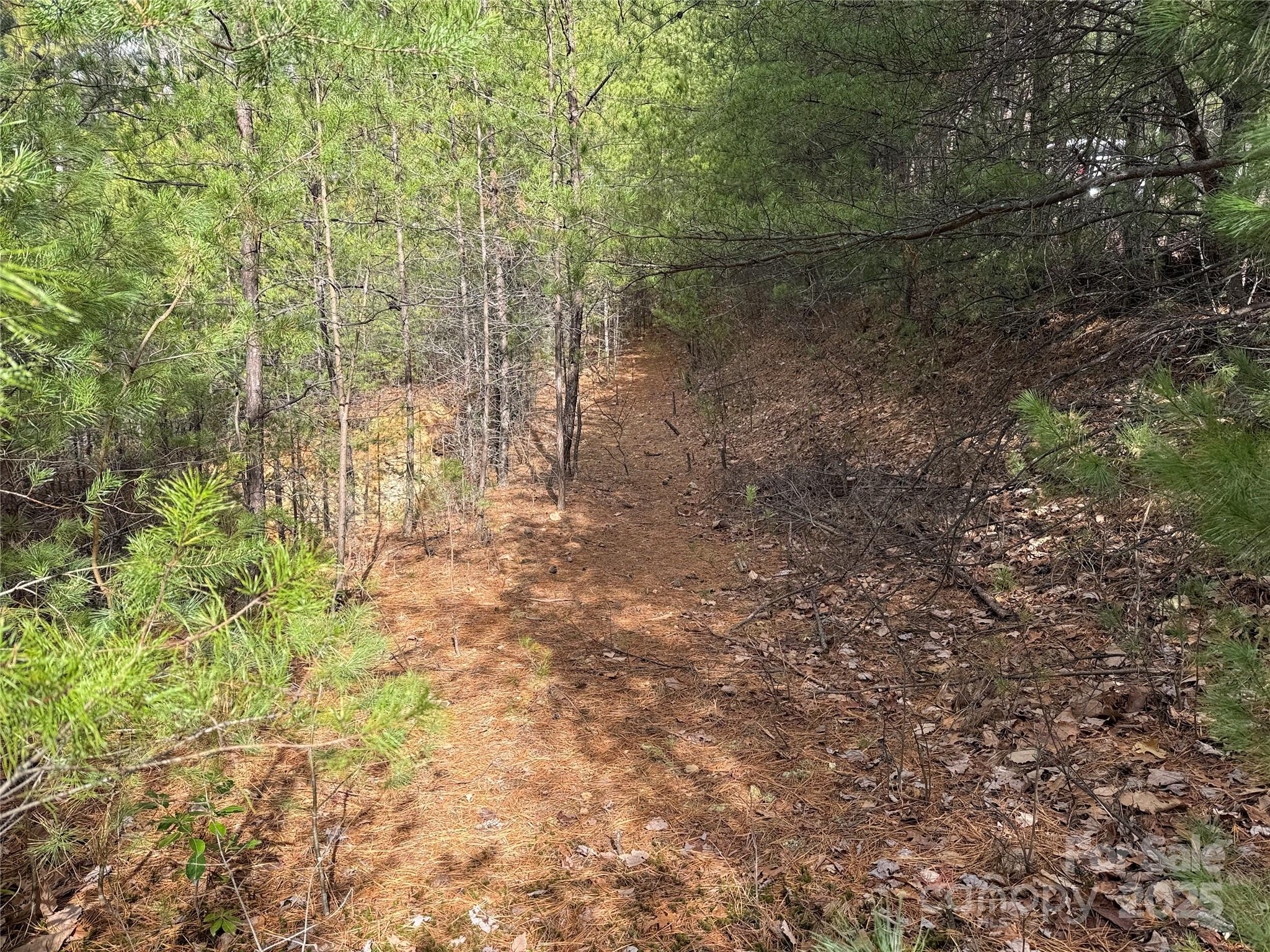 Buck Mountain - Land