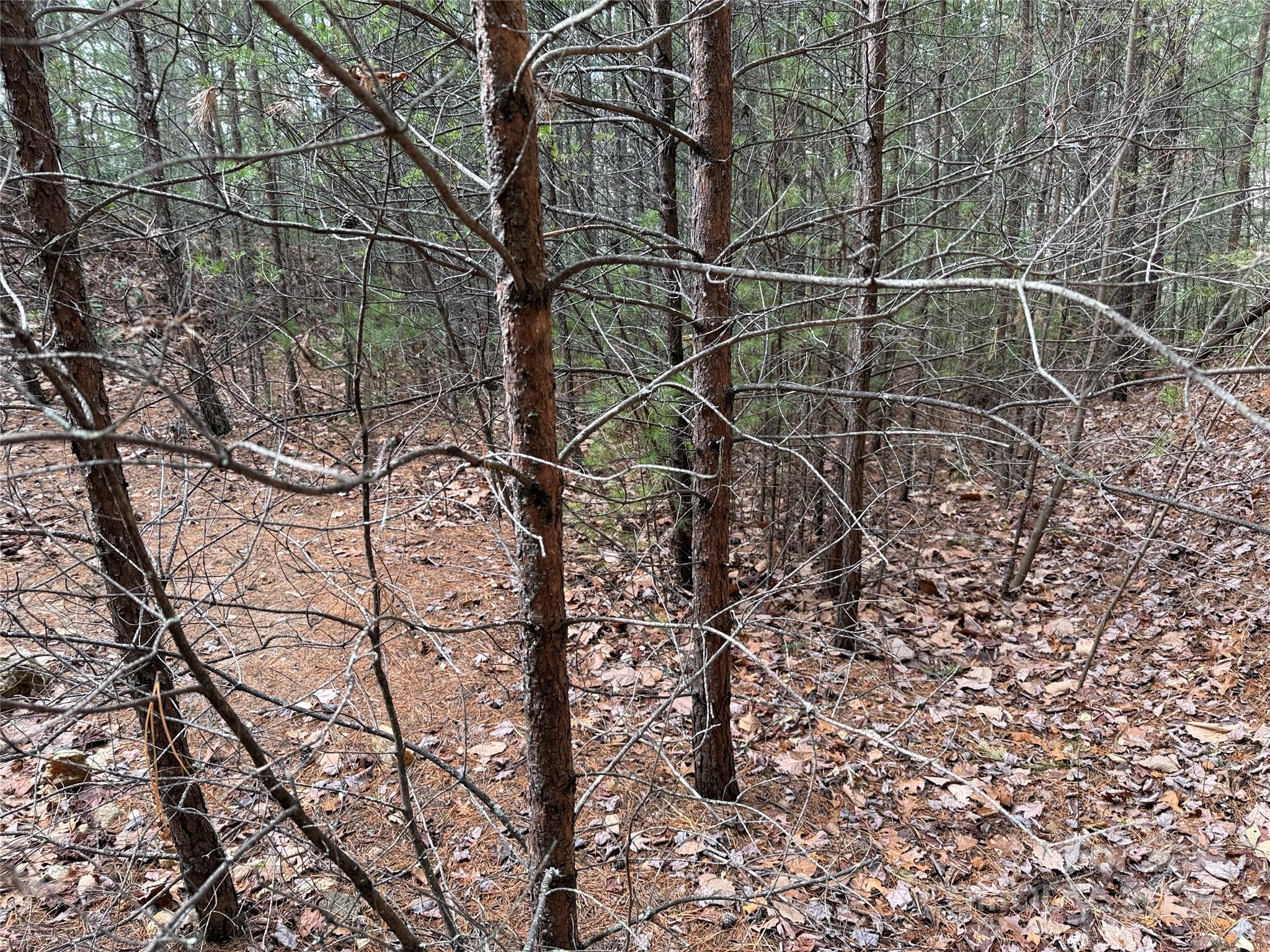 Buck Mountain - Land