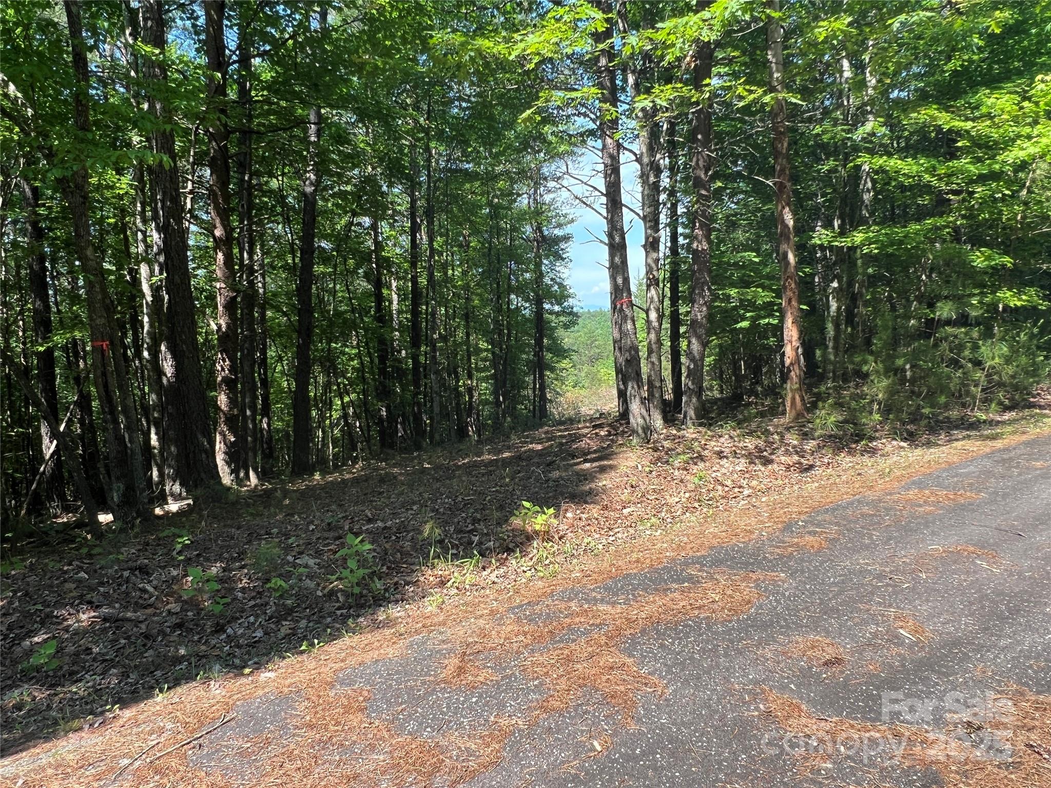 Pisgah Preserve - Land