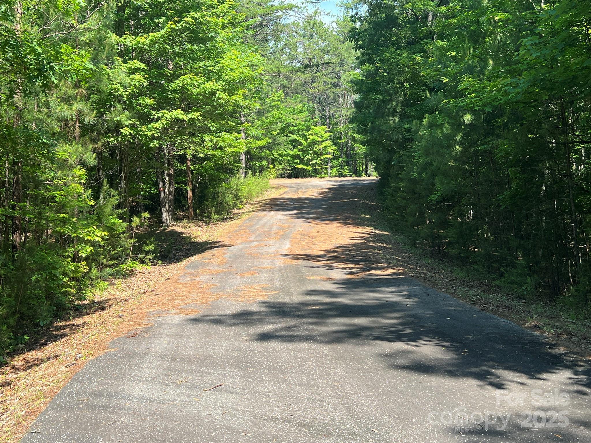 Pisgah Preserve - Land
