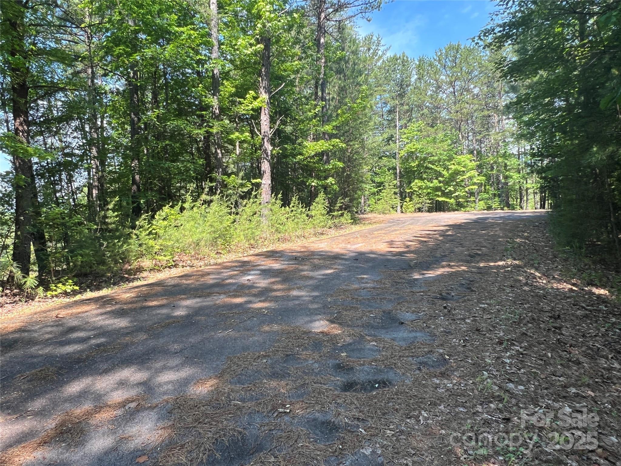 Pisgah Preserve - Land