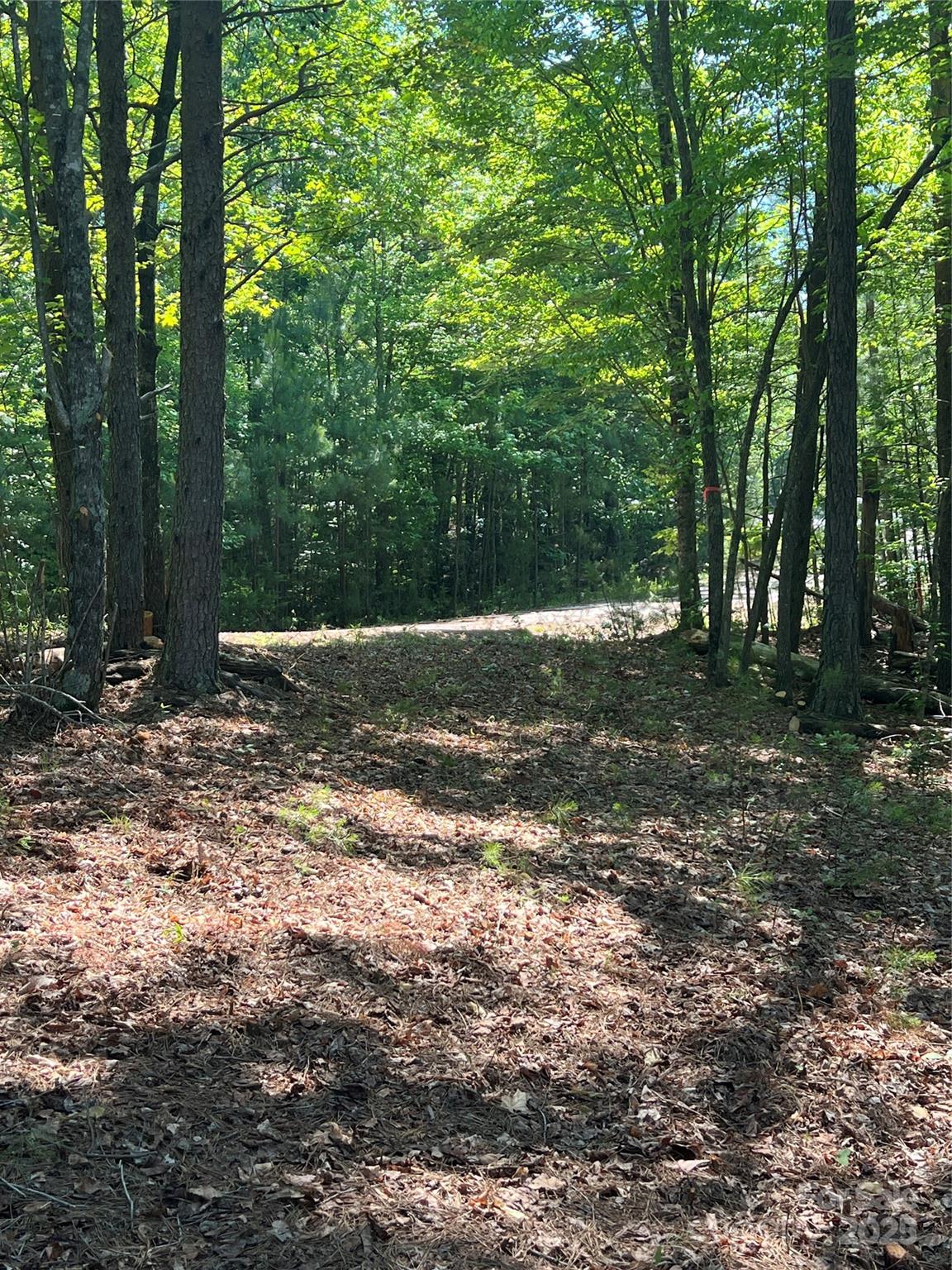 Pisgah Preserve - Land