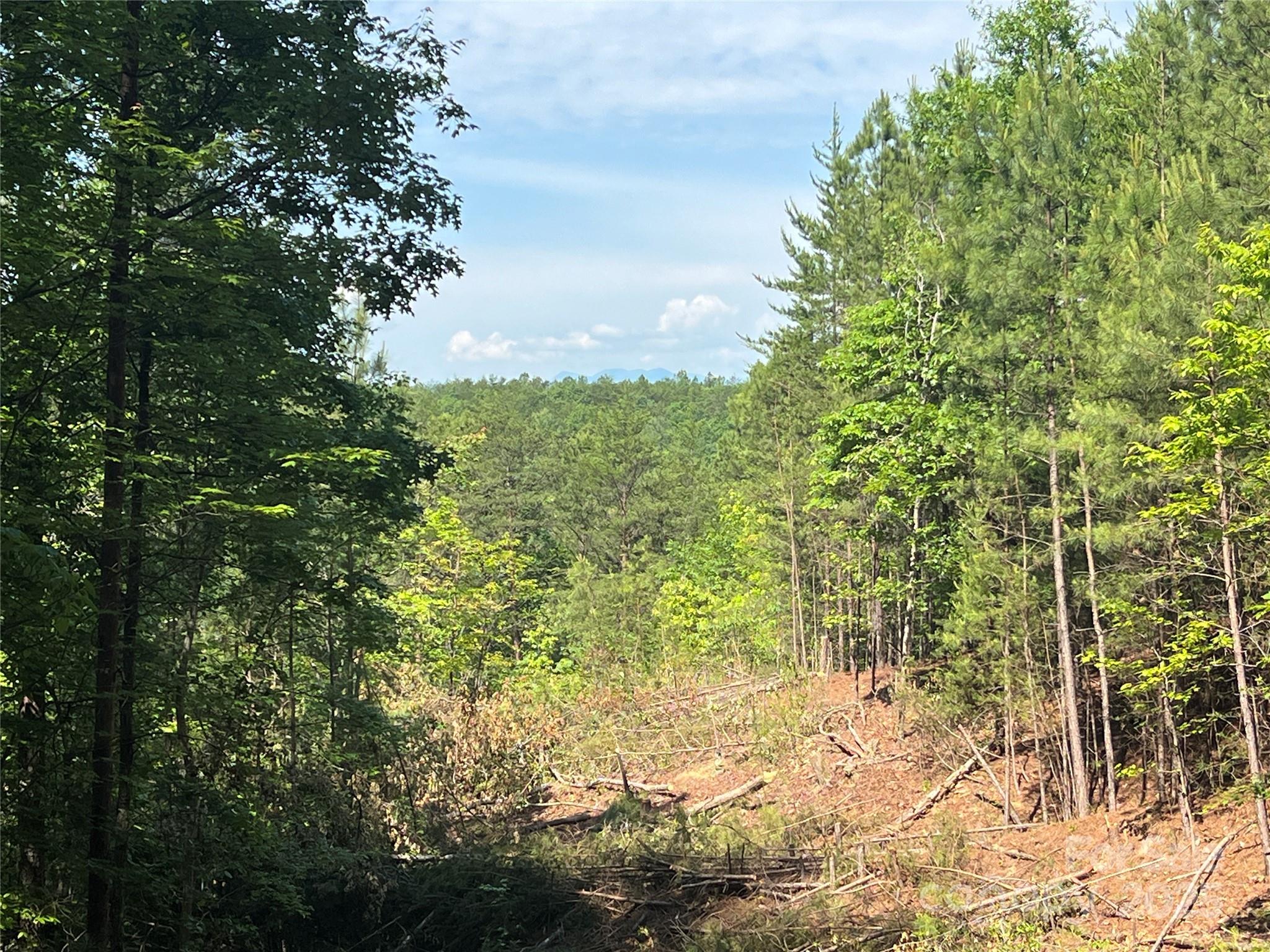 Pisgah Preserve - Land