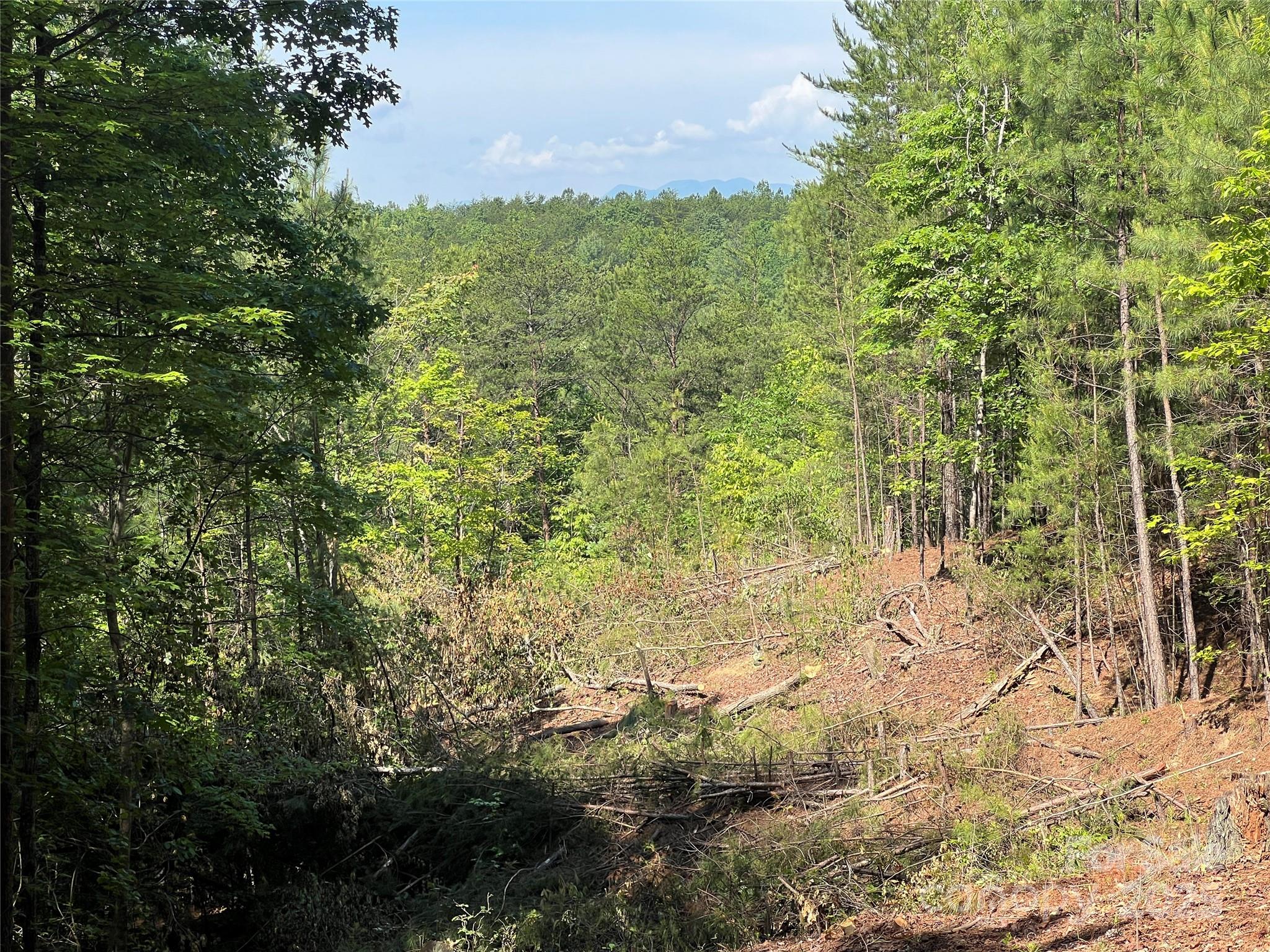 Pisgah Preserve - Land