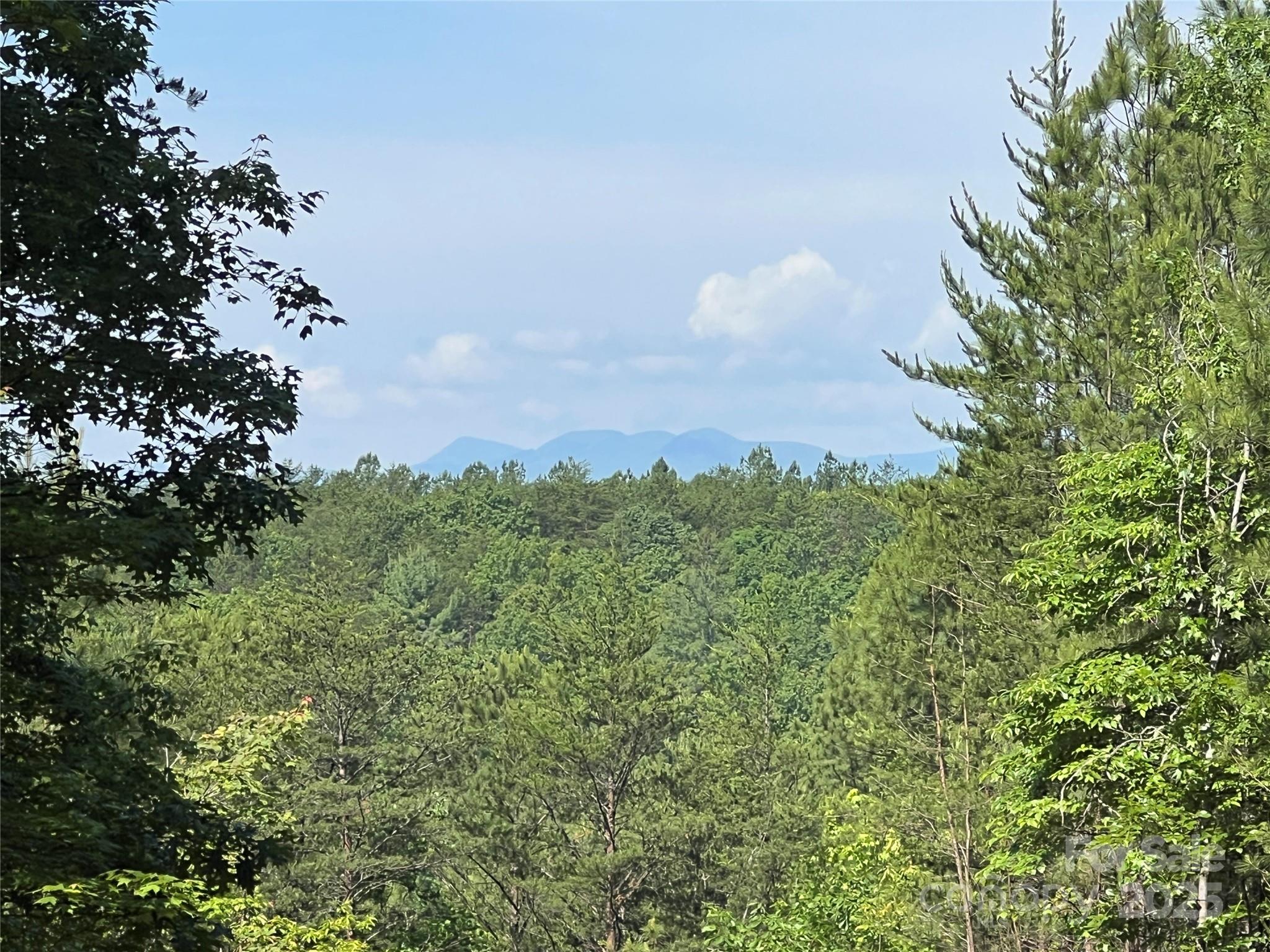 Pisgah Preserve - Land