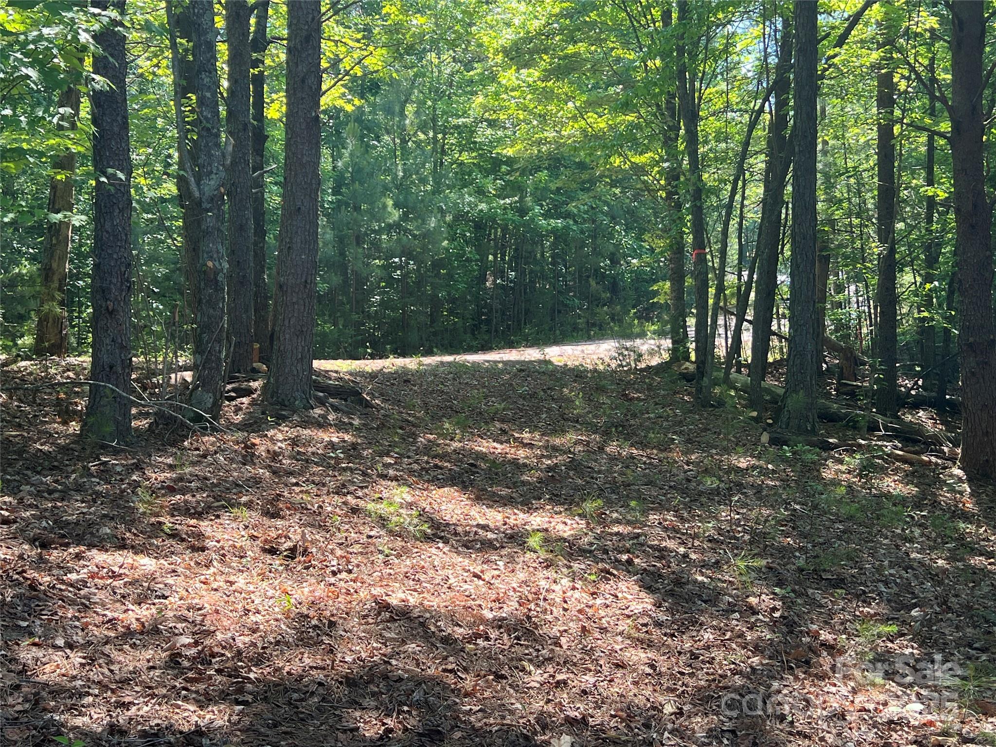 Pisgah Preserve - Land