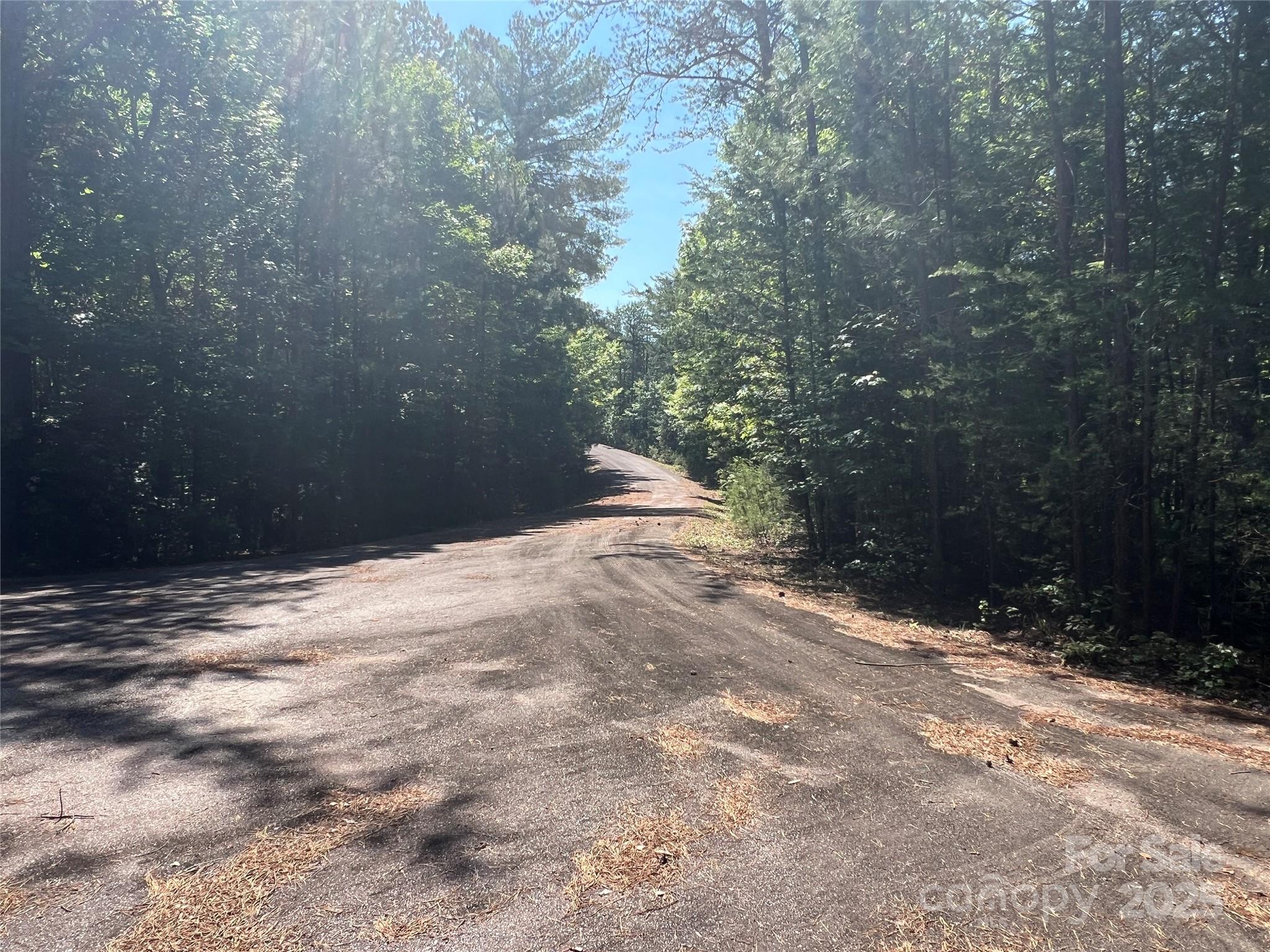 Pisgah Preserve - Land