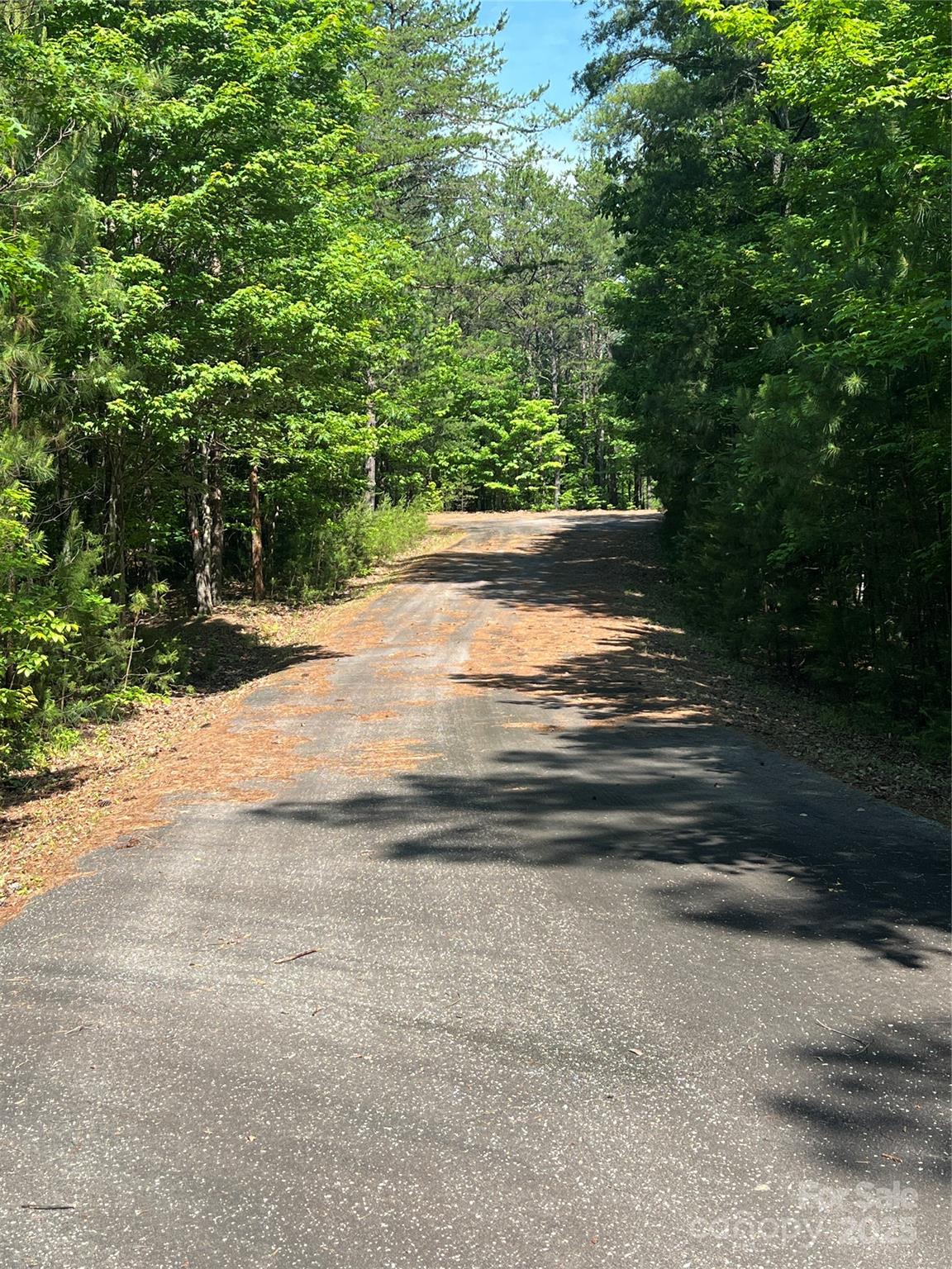 Pisgah Preserve - Land