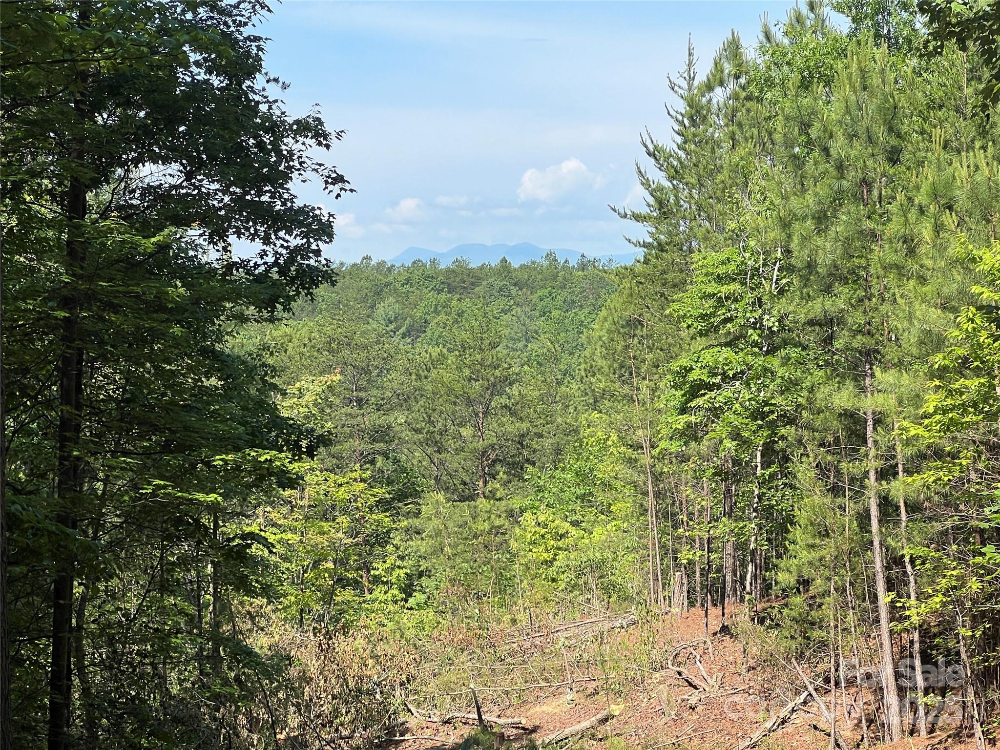 Pisgah Preserve - Land