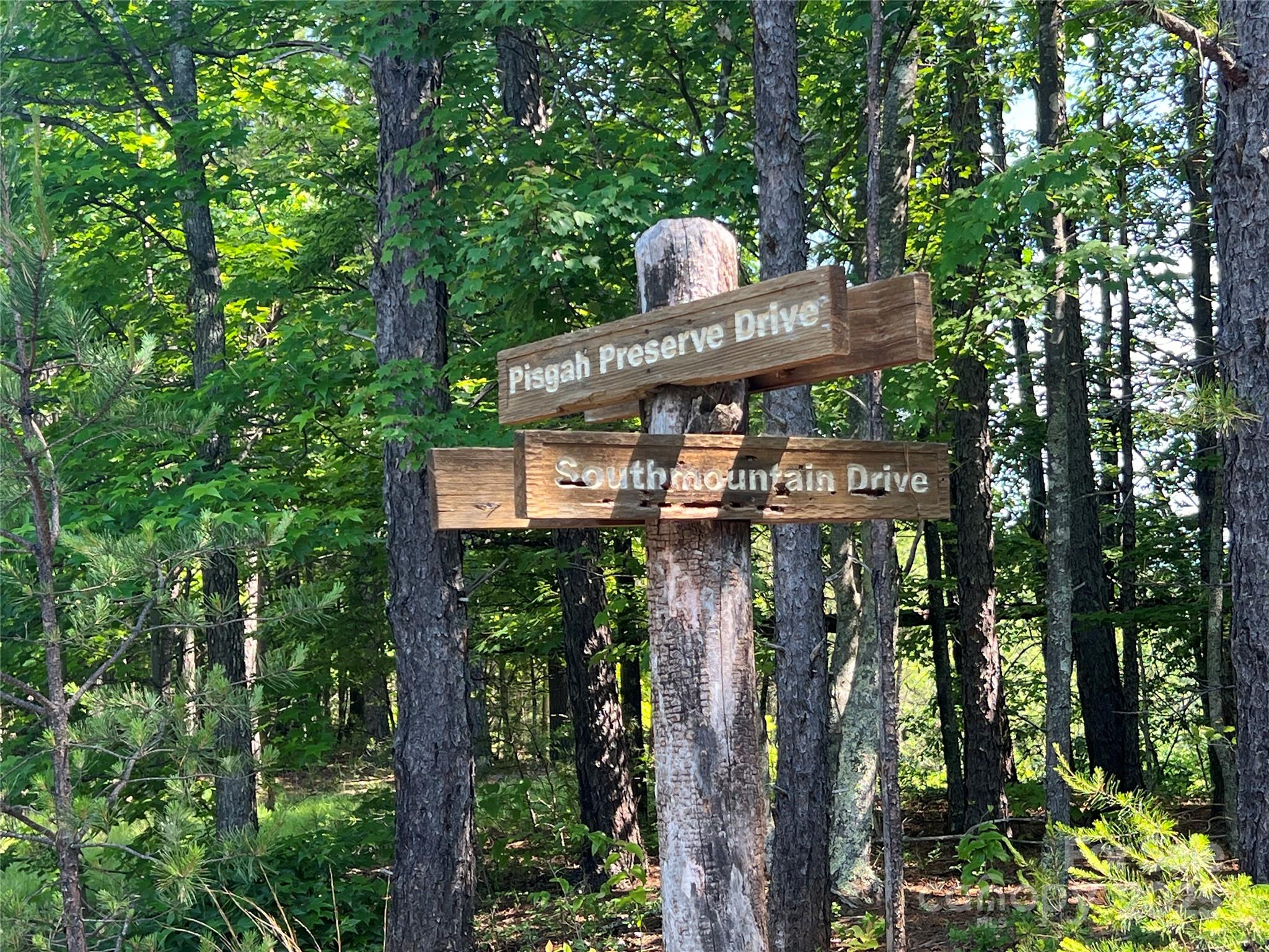Pisgah Preserve - Land