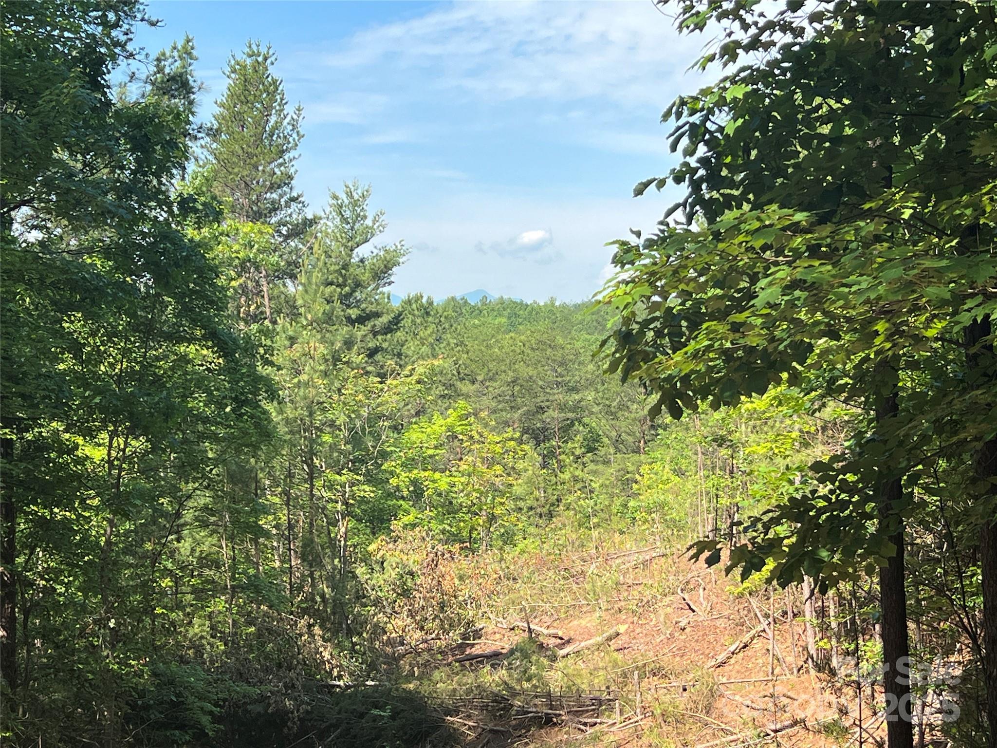 Pisgah Preserve - Land