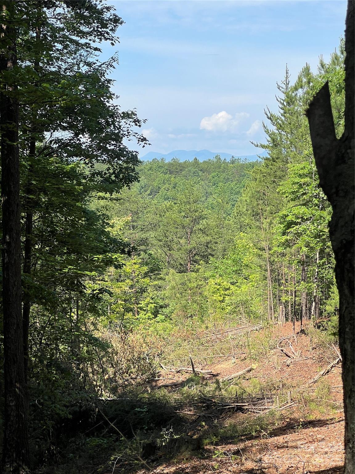 Pisgah Preserve - Land