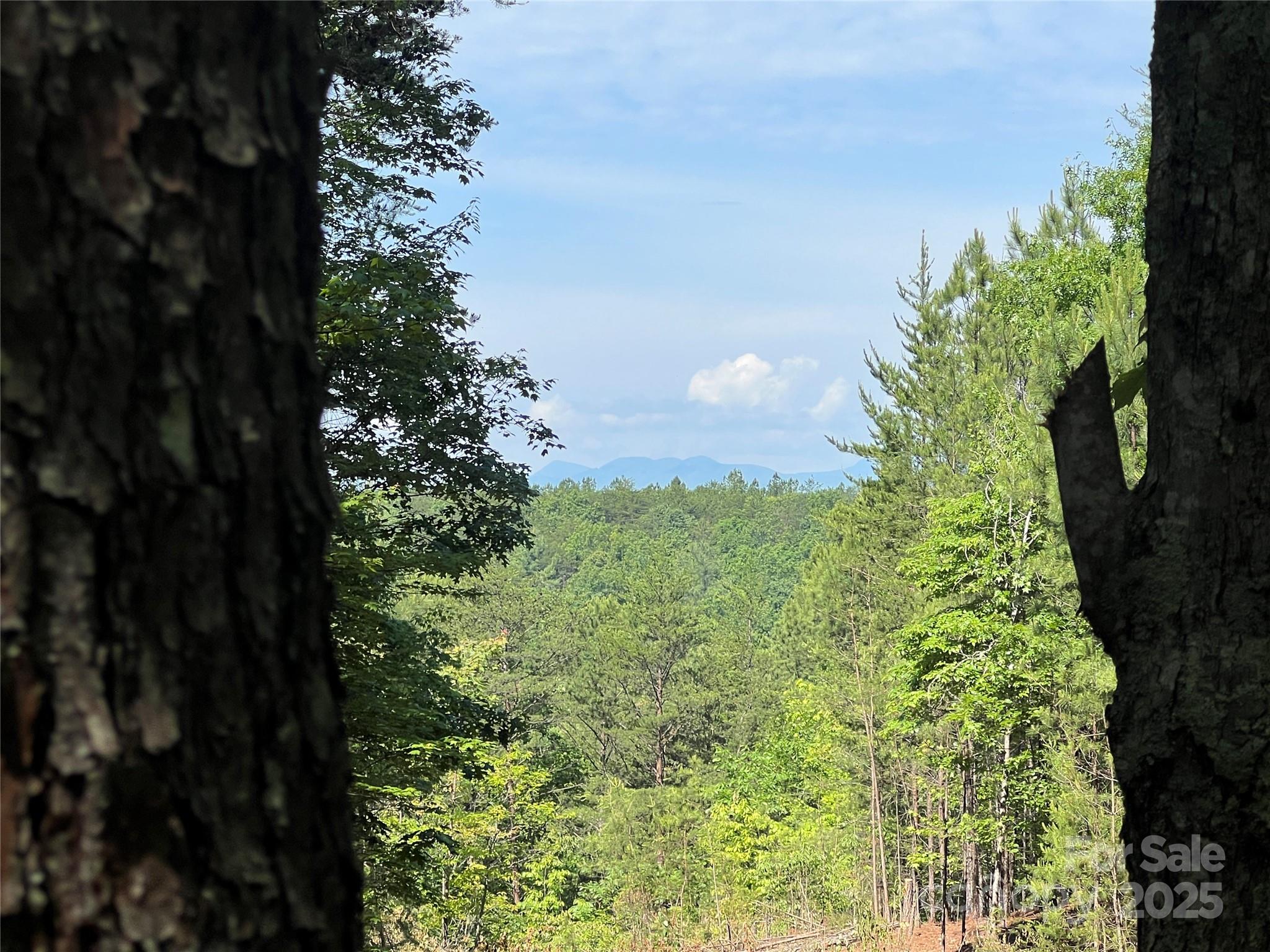 Pisgah Preserve - Land