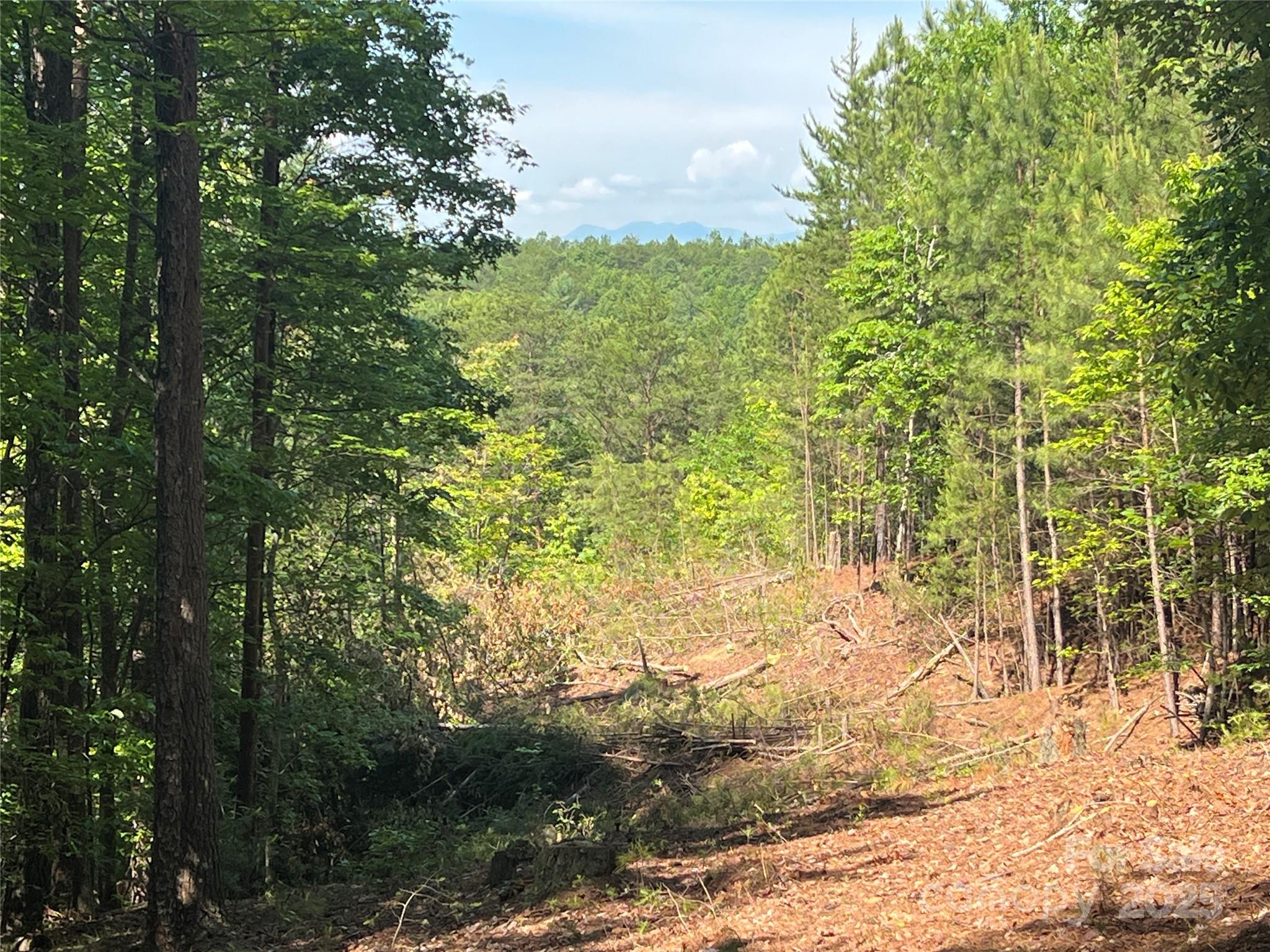 Pisgah Preserve - Land