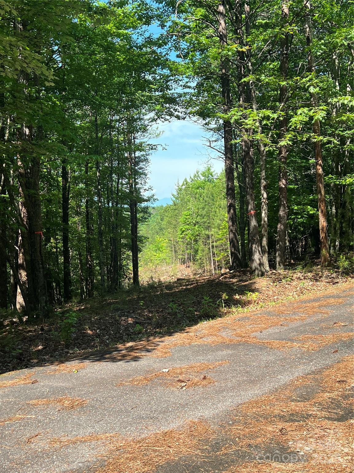 Pisgah Preserve - Land