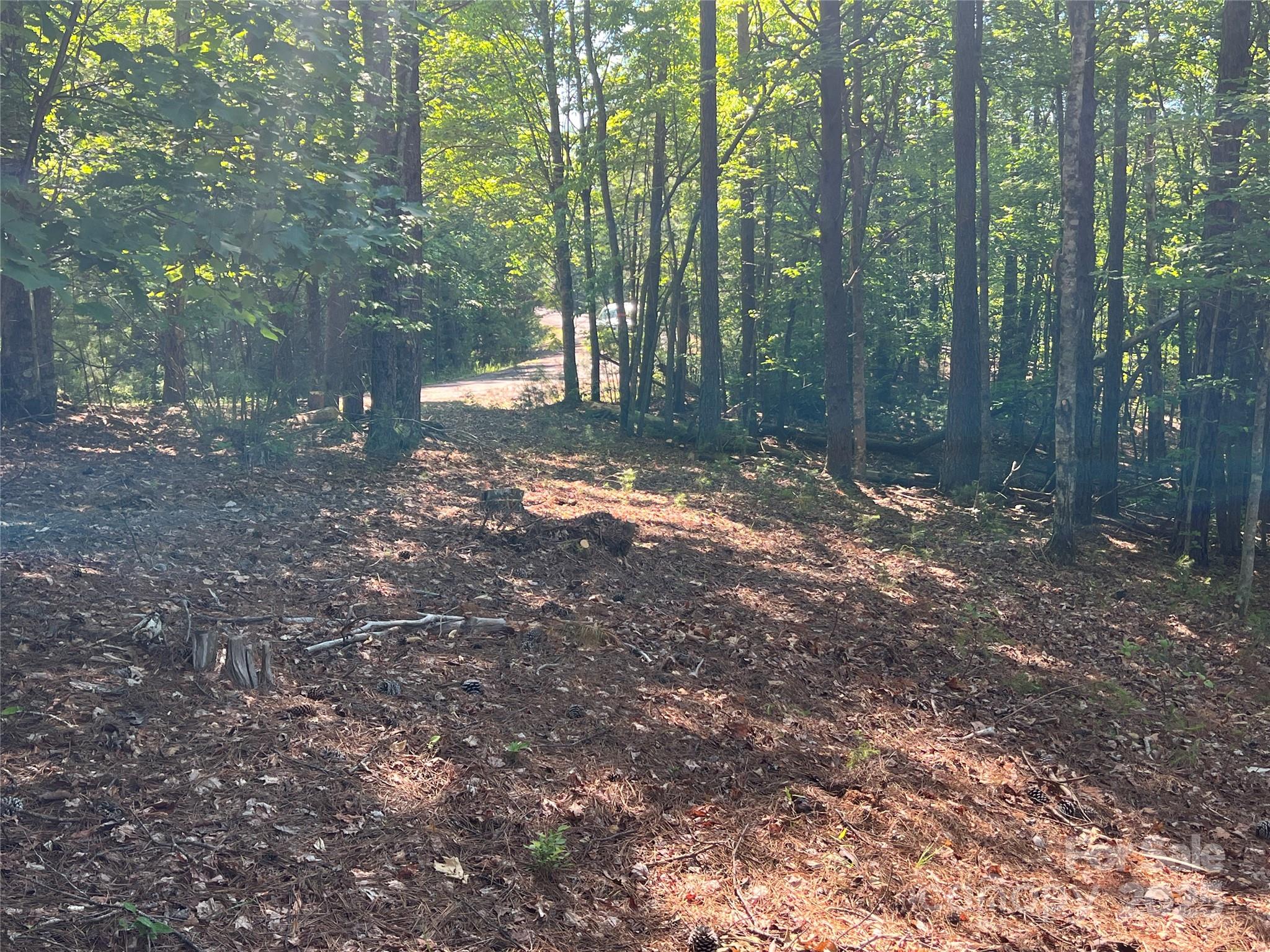 Pisgah Preserve - Land