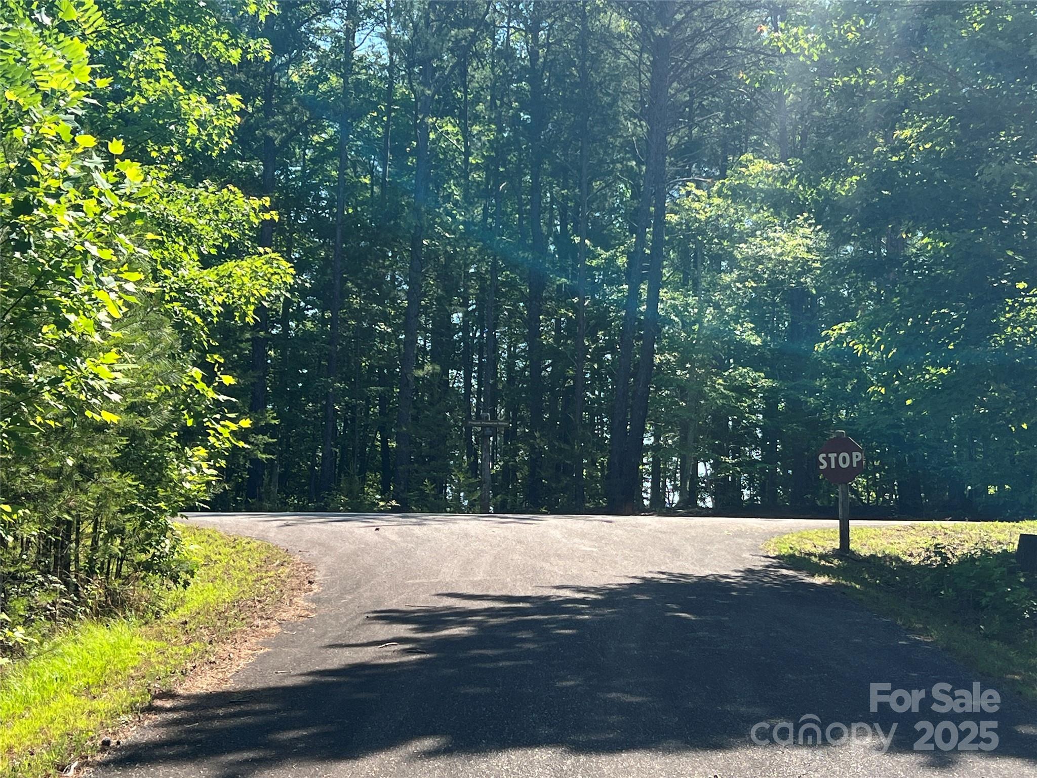 Pisgah Preserve - Land