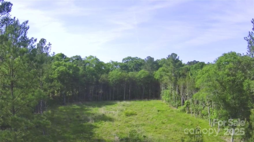 Don't miss this rare opportunity to own a spacious 1-acre lot, mostly cleared and ready for your dream home. Located in a peaceful setting with no HOA restrictions, you'll have the freedom to design and build exactly what you want. Enjoy the perfect blend of privacy and convenience that sits on a cul-de-sac, with great schools nearby and easy access to local amenities. Whether you're looking to build now or invest for the future, this property offers endless potential!